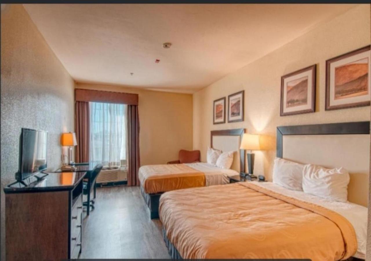 Standard Double Room photo 3