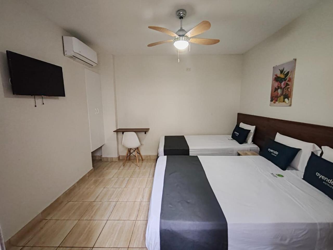 Double Room with Two Double Beds photo 1