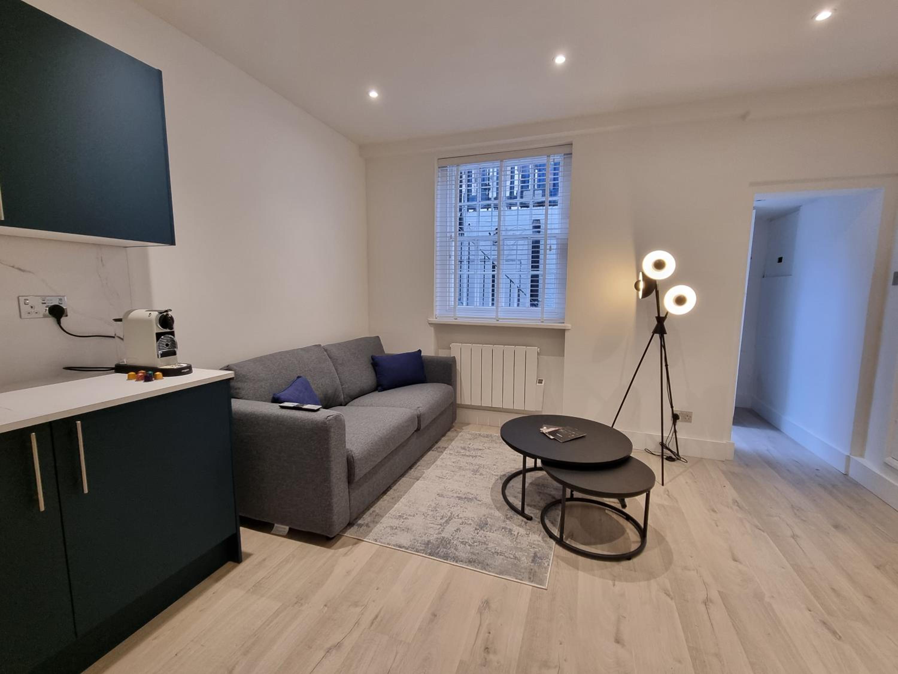 Deluxe One-Bedroom Apartment photo 3