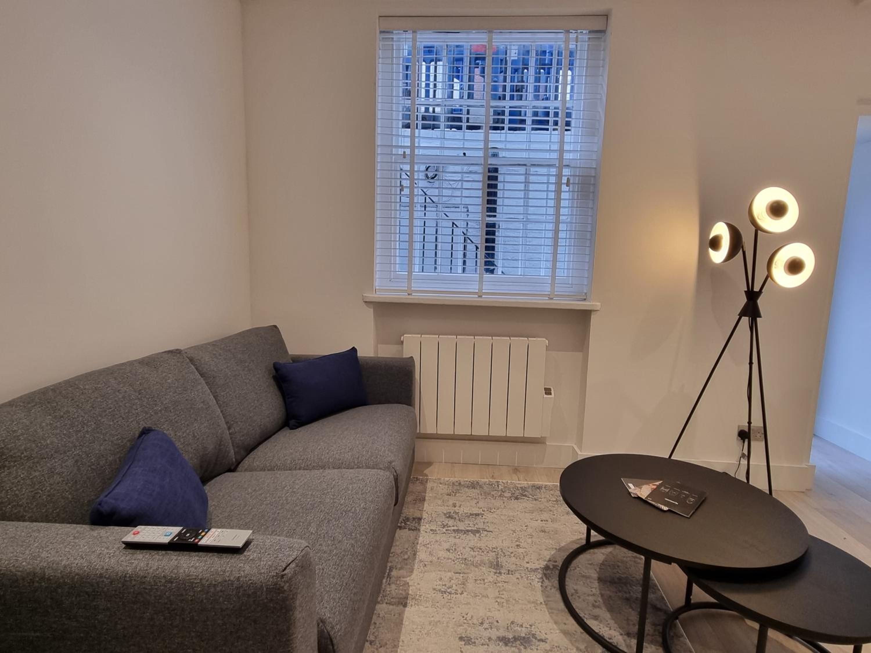 Deluxe One-Bedroom Apartment photo 2