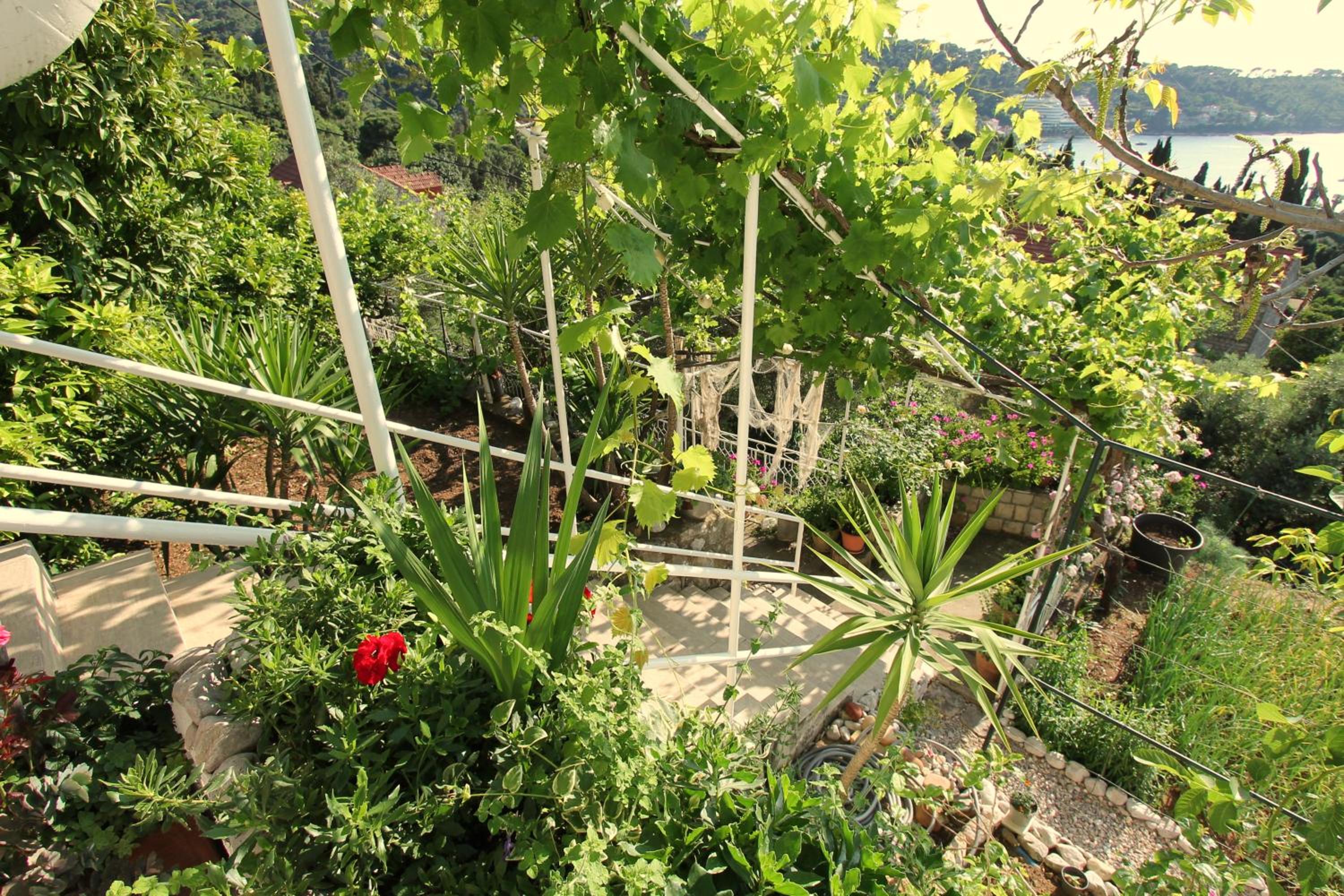 Studio Apartment with Sea View photo 3