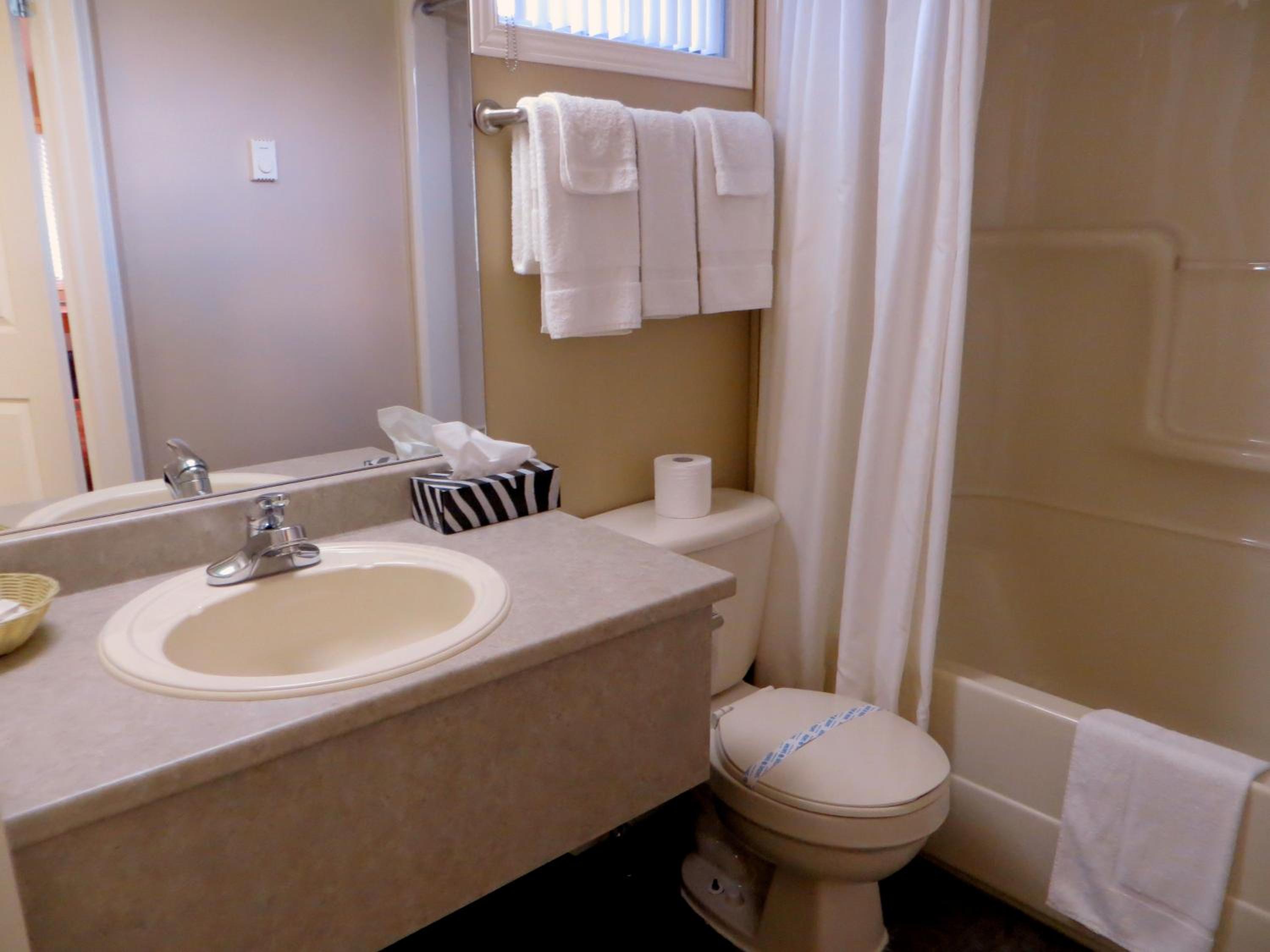 Superior Queen Room photo 3