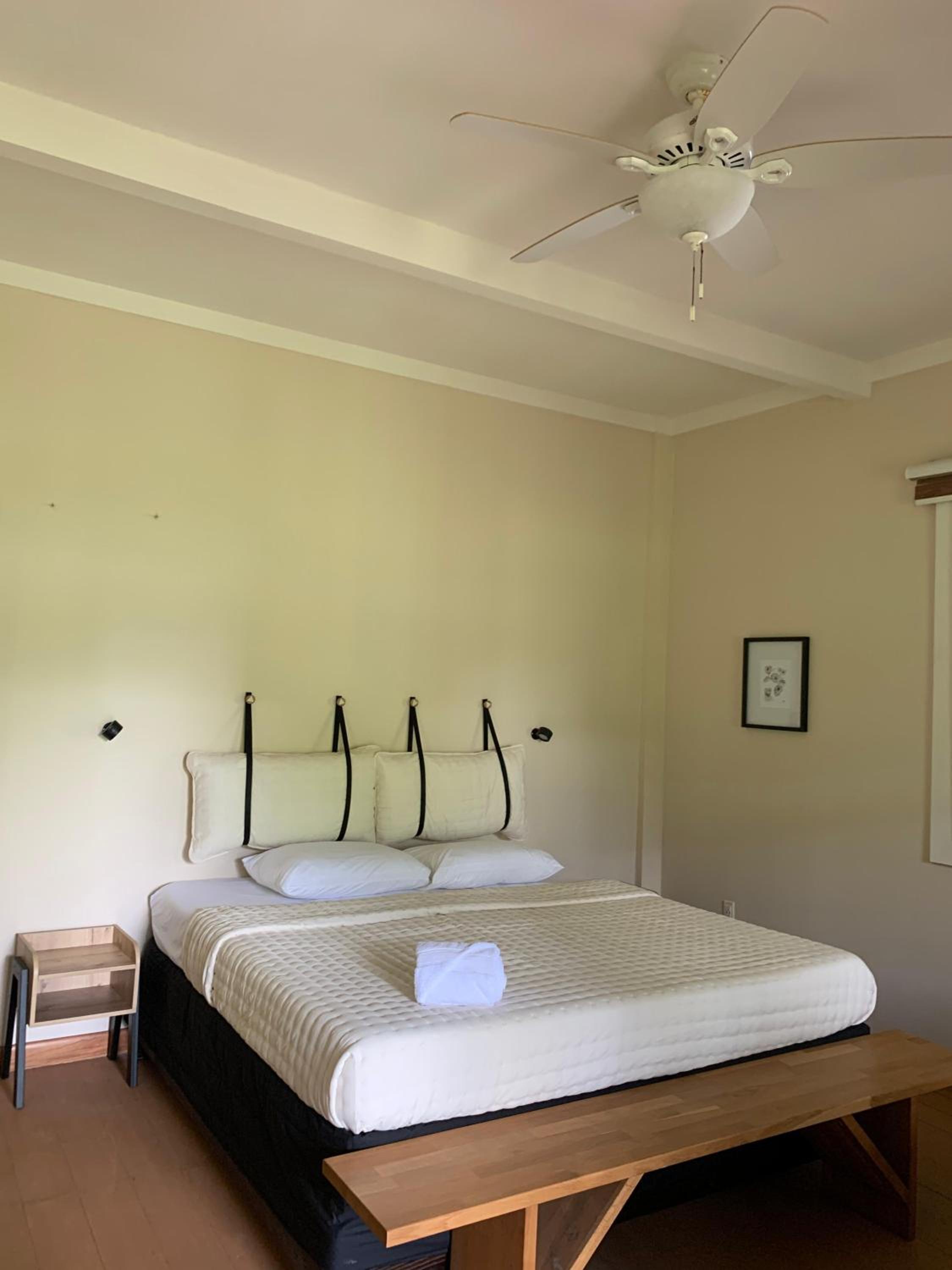 King Room photo 3