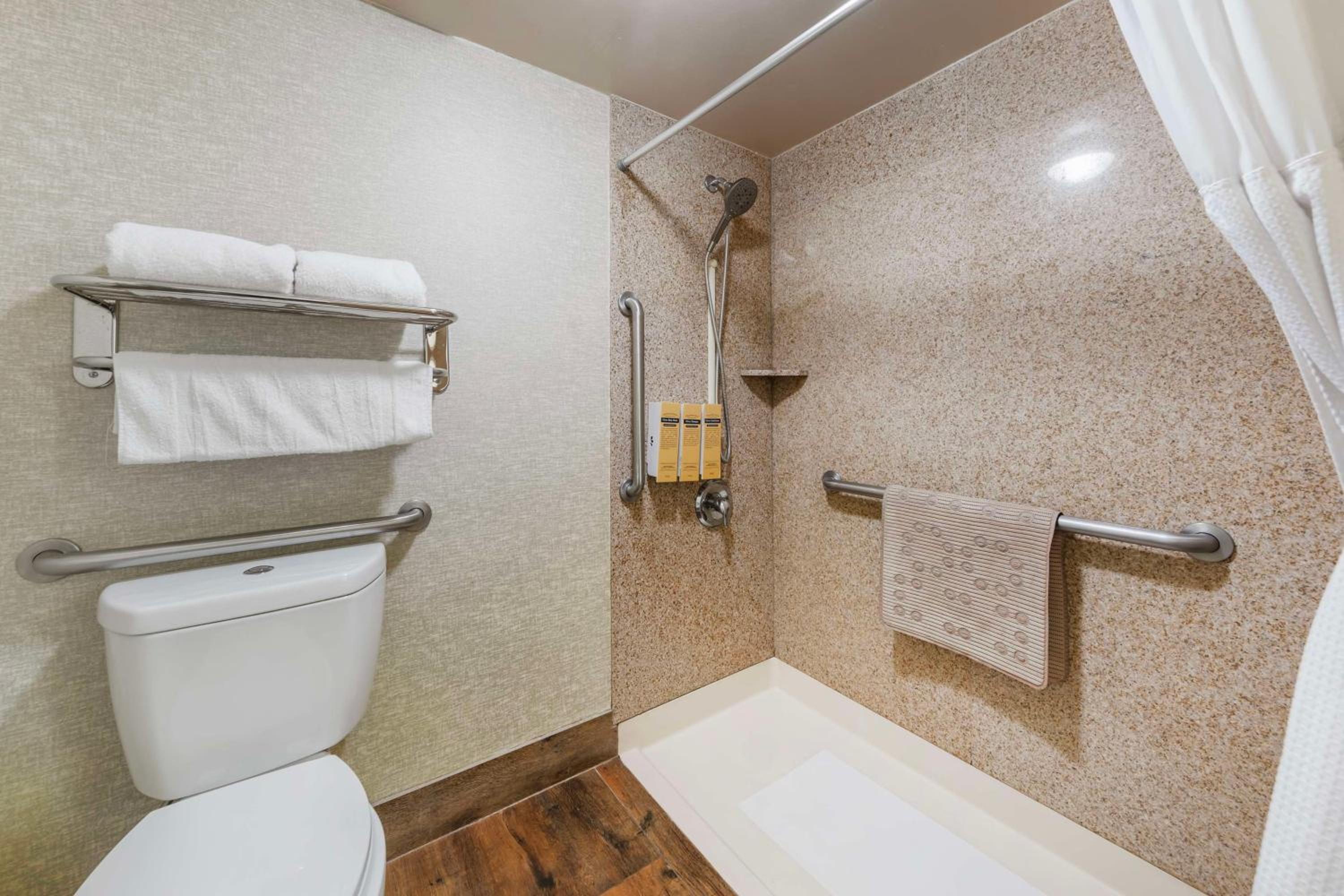 King Room with Roll-in Shower - Mobility Accessible/Non-Smoking - Photo 9
