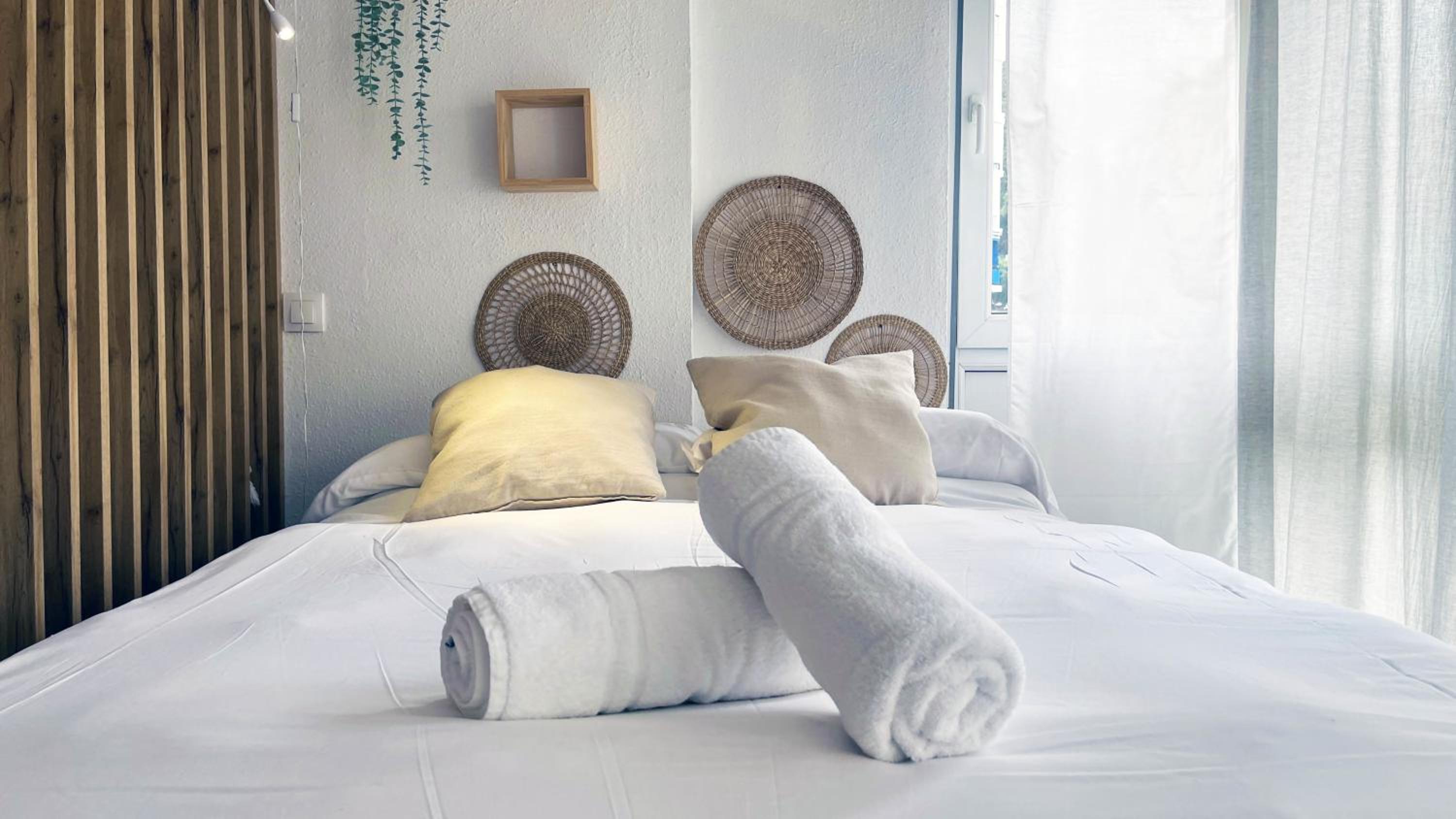 Estudio King con Sofá Cama