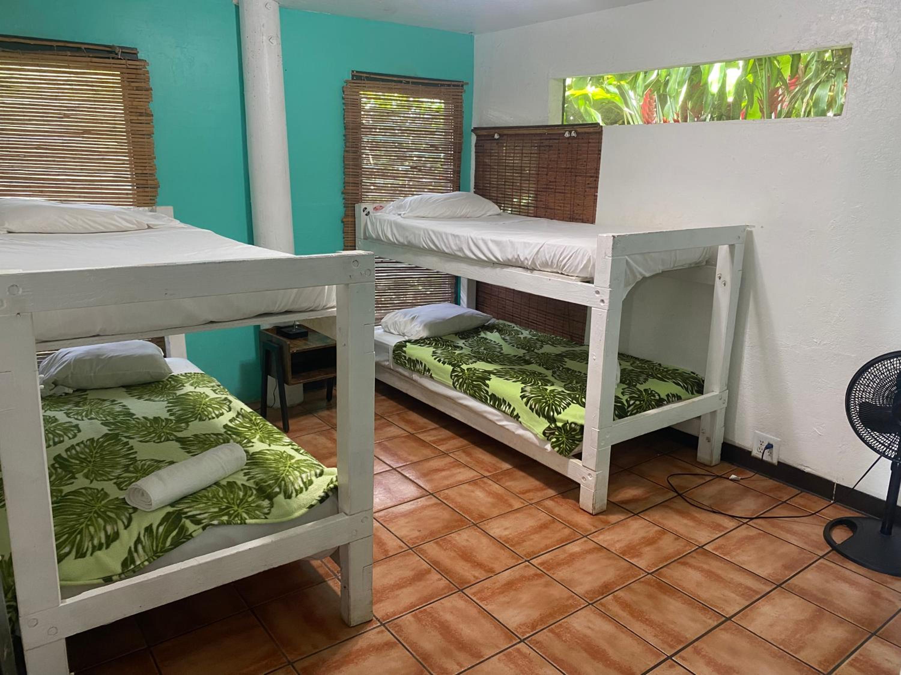 Economy Quadruple Room with Shared Bathroom - Adults Only photo 1