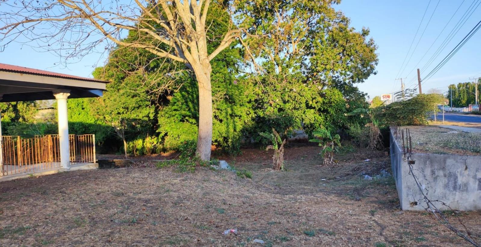 Double Or Twin Room With Garden View photo 3