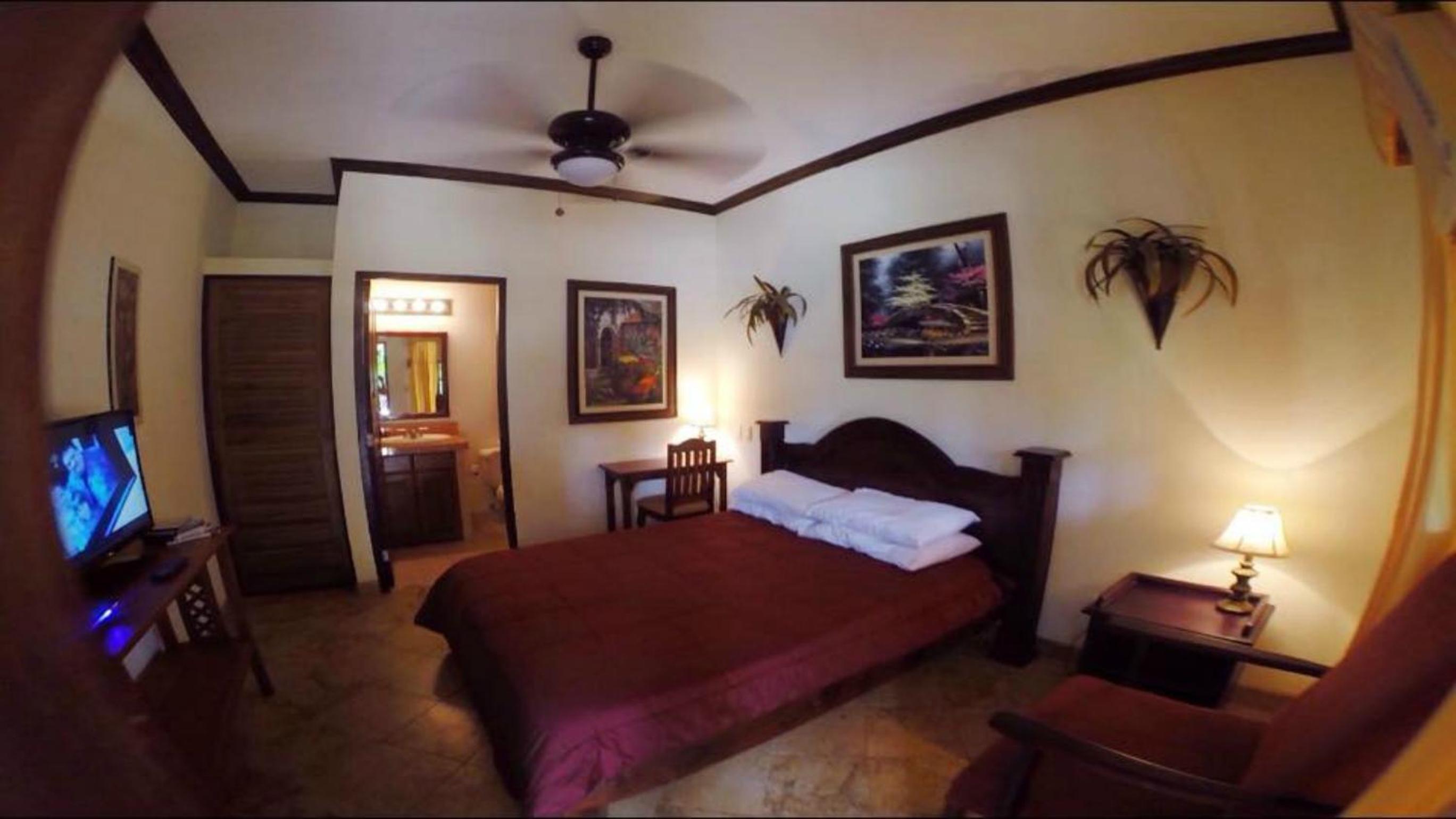 Double Room photo 1
