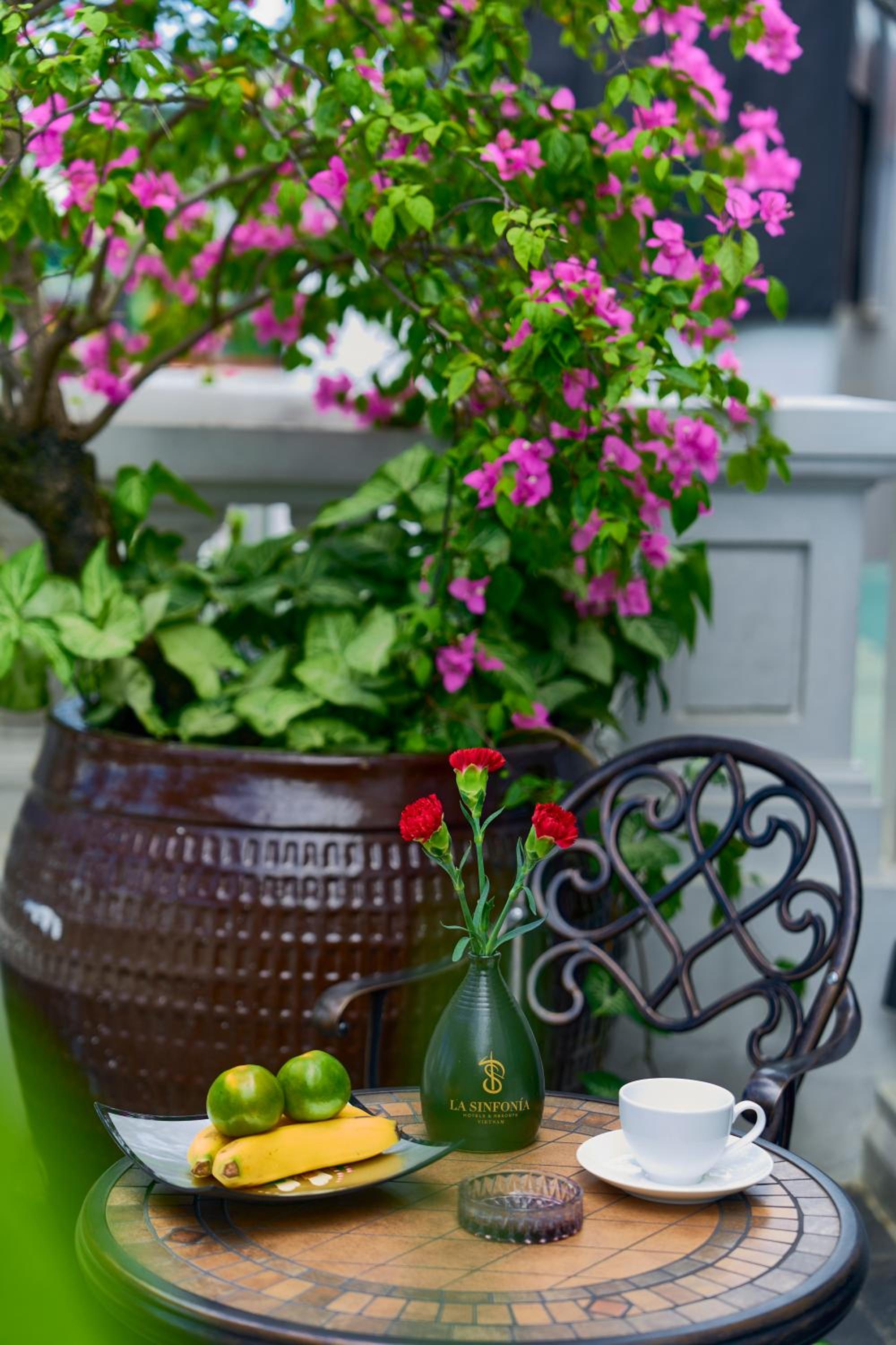 Terrace Suite thumbnail 6