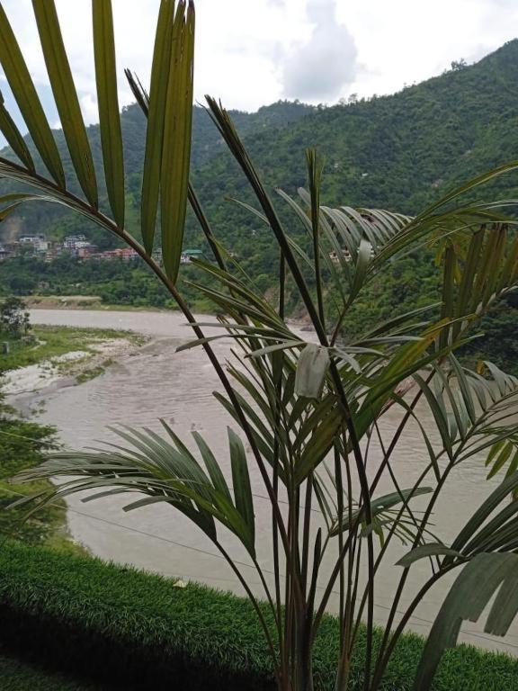 Double Room with Lake View