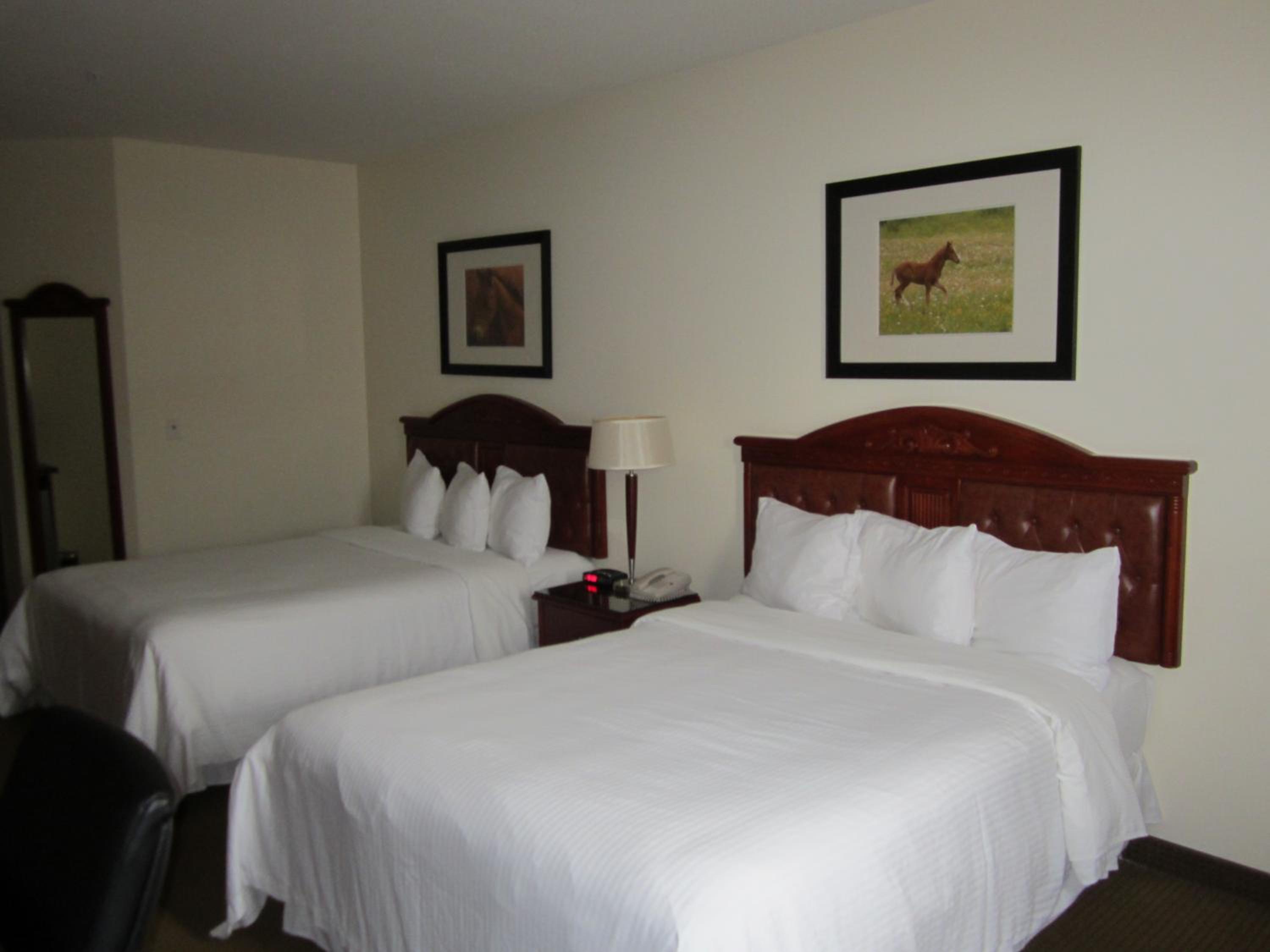 Standard Queen Room with Two Queen Beds photo 1