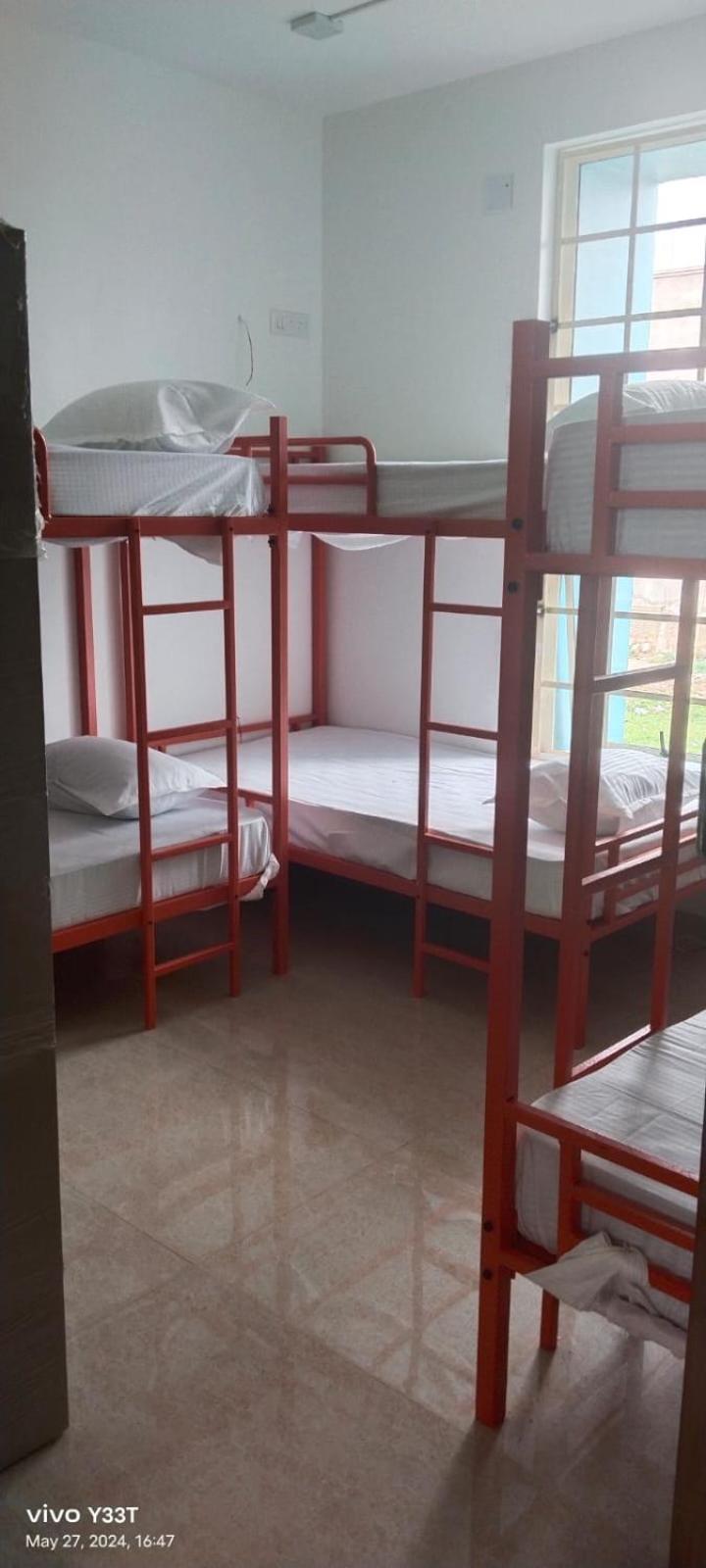 Bunk Bed in Mixed Dormitory Room photo 1