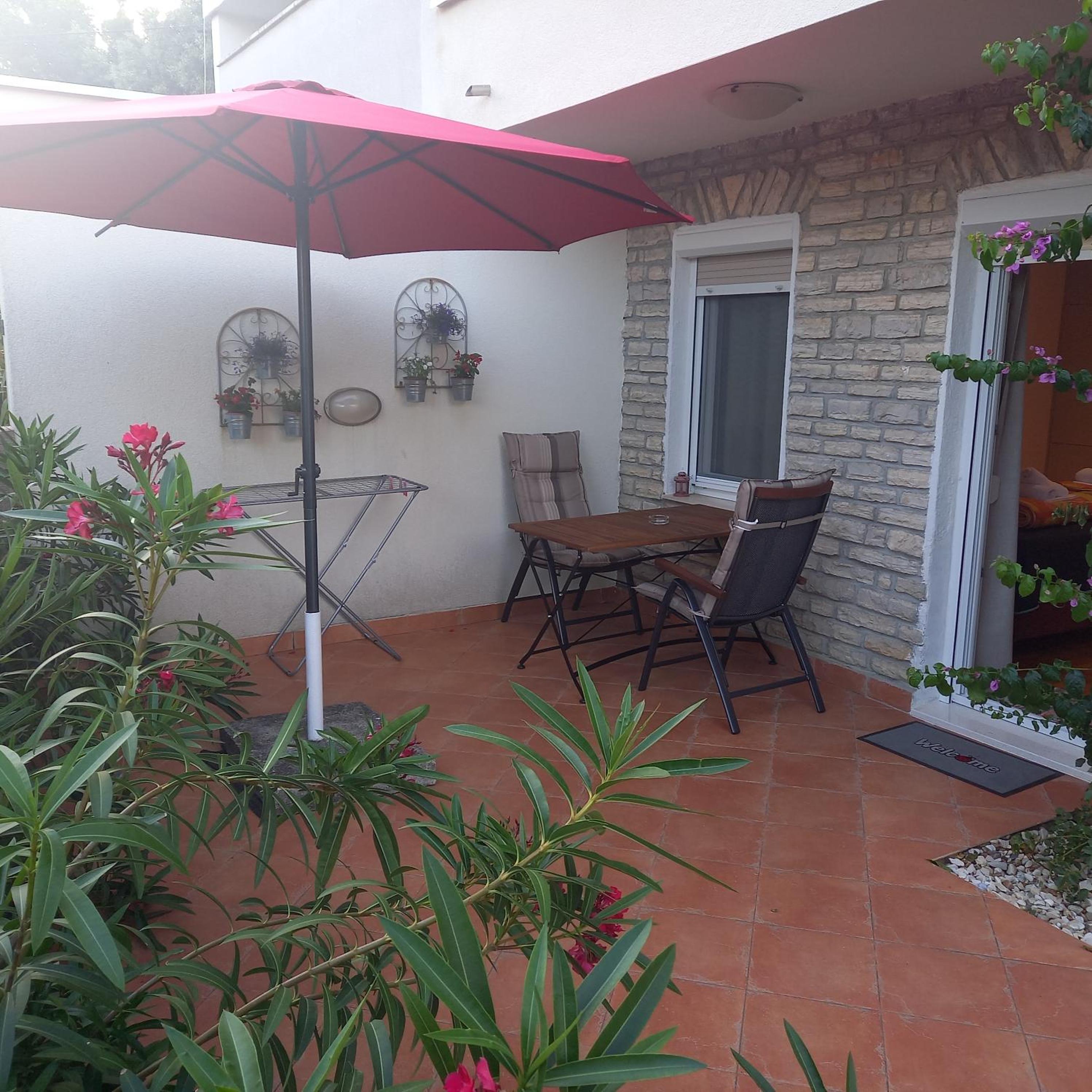 Studio with Terrace photo 3
