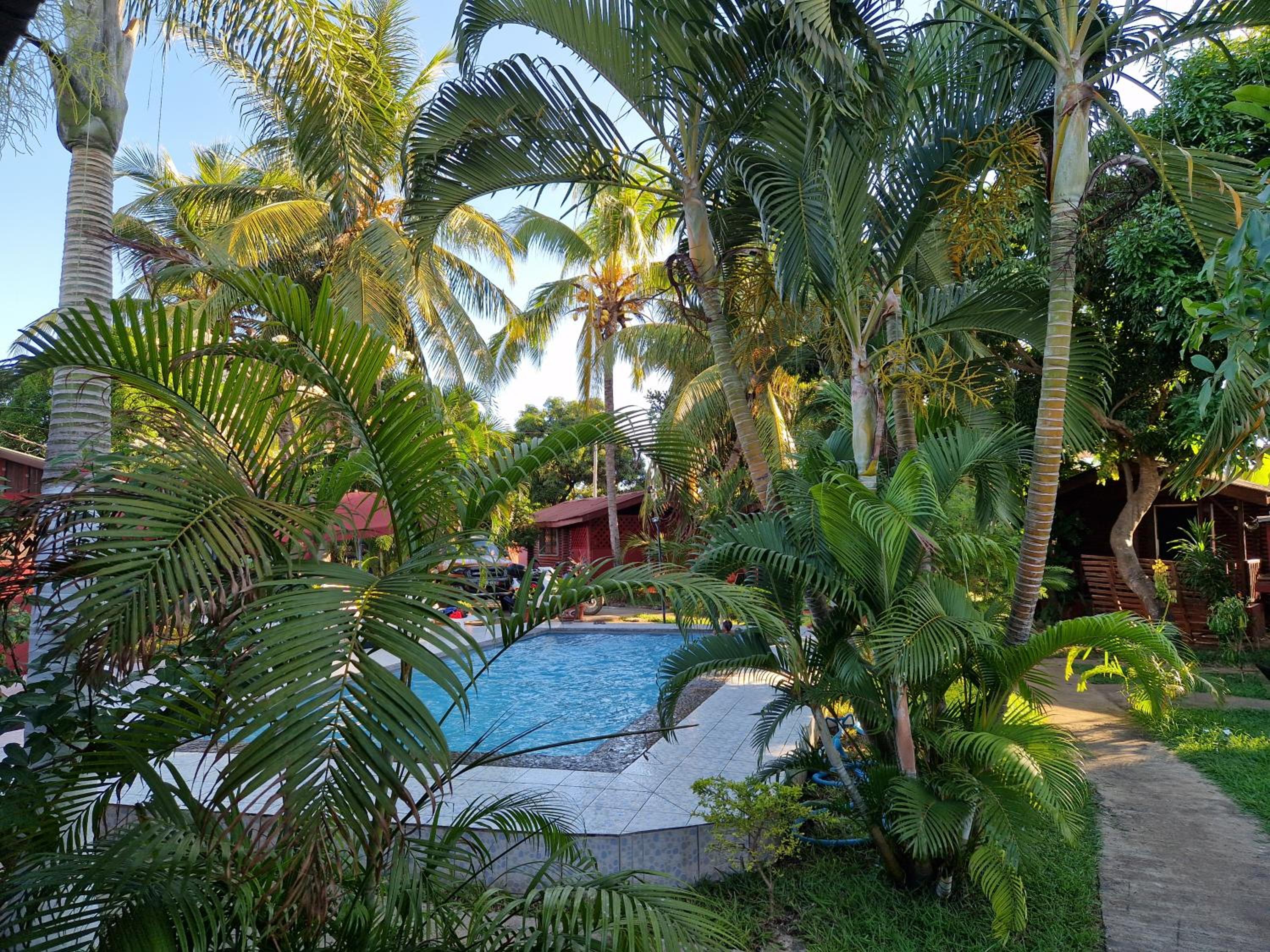 Double Room with Pool View photo 2