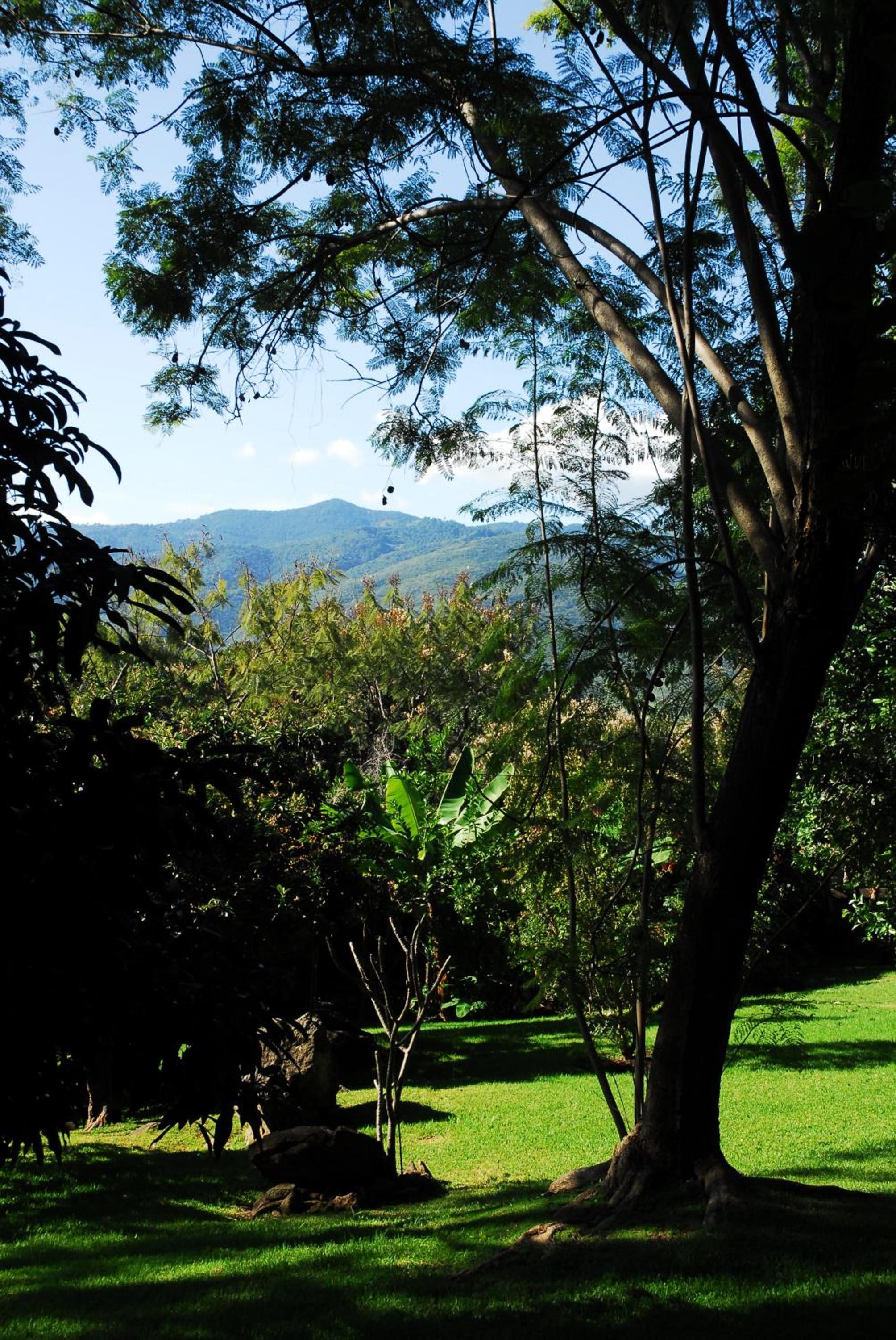 Vacation Home photo 2