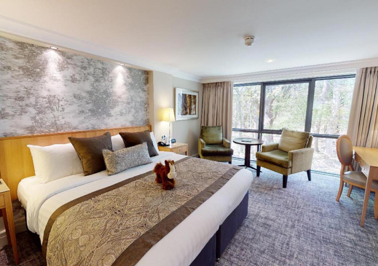 Executive Double or Twin Room