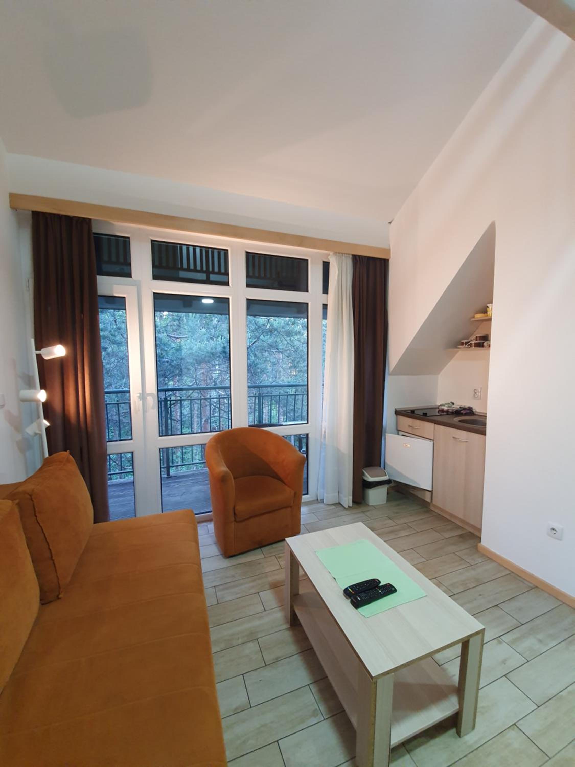 One-Bedroom Apartment photo 3