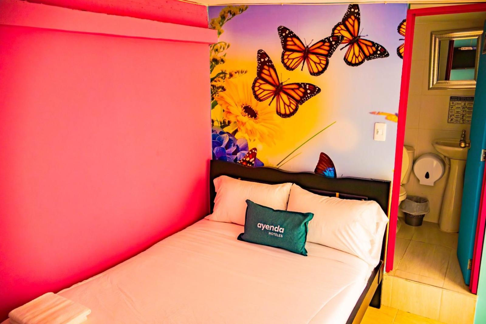Double Room photo 1