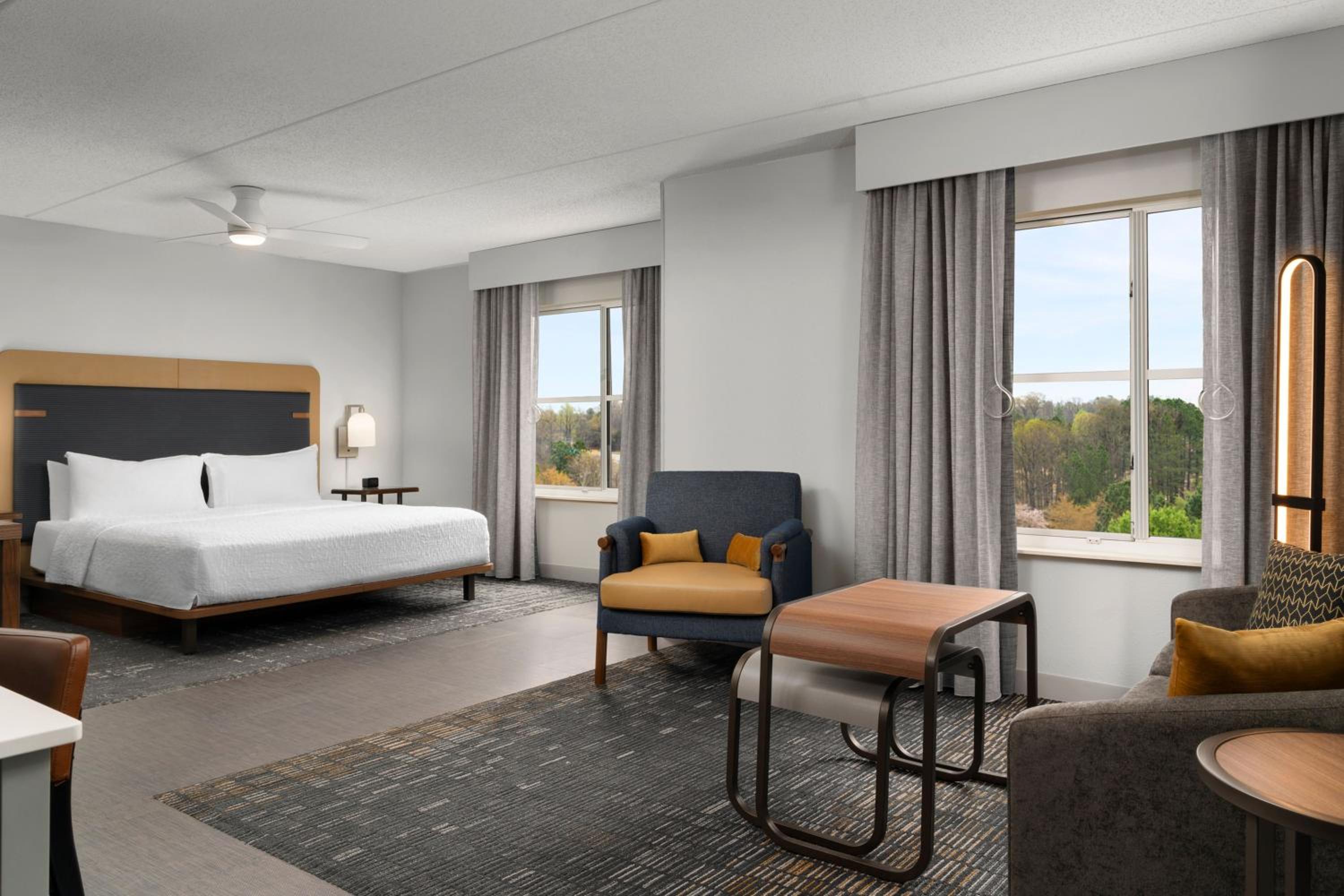 King Suite - Mobility Access/Non-Smoking - Photo 6
