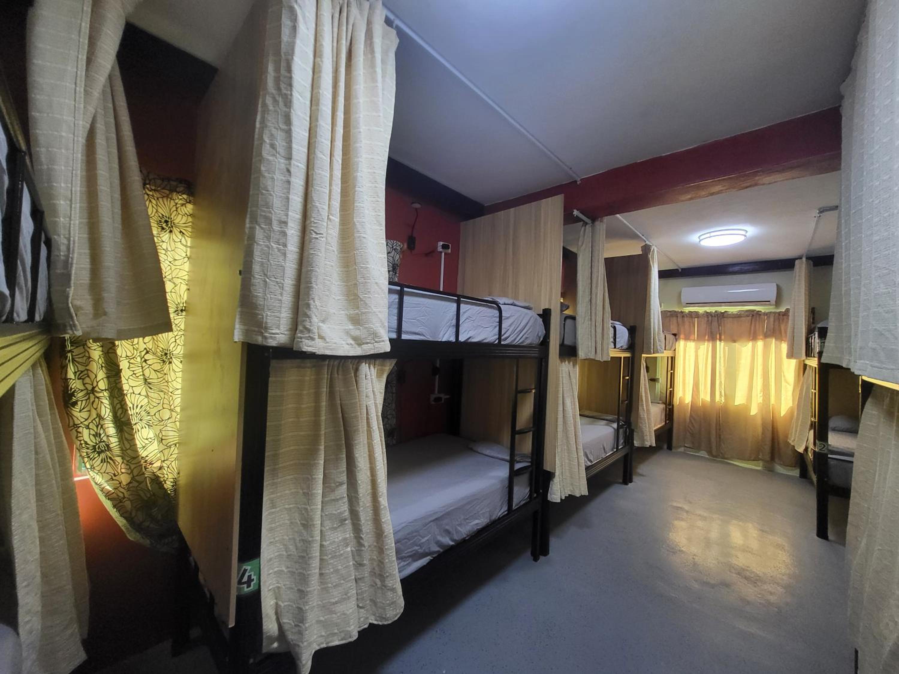 Bunk Bed In Mixed Dormitory Room photo 1
