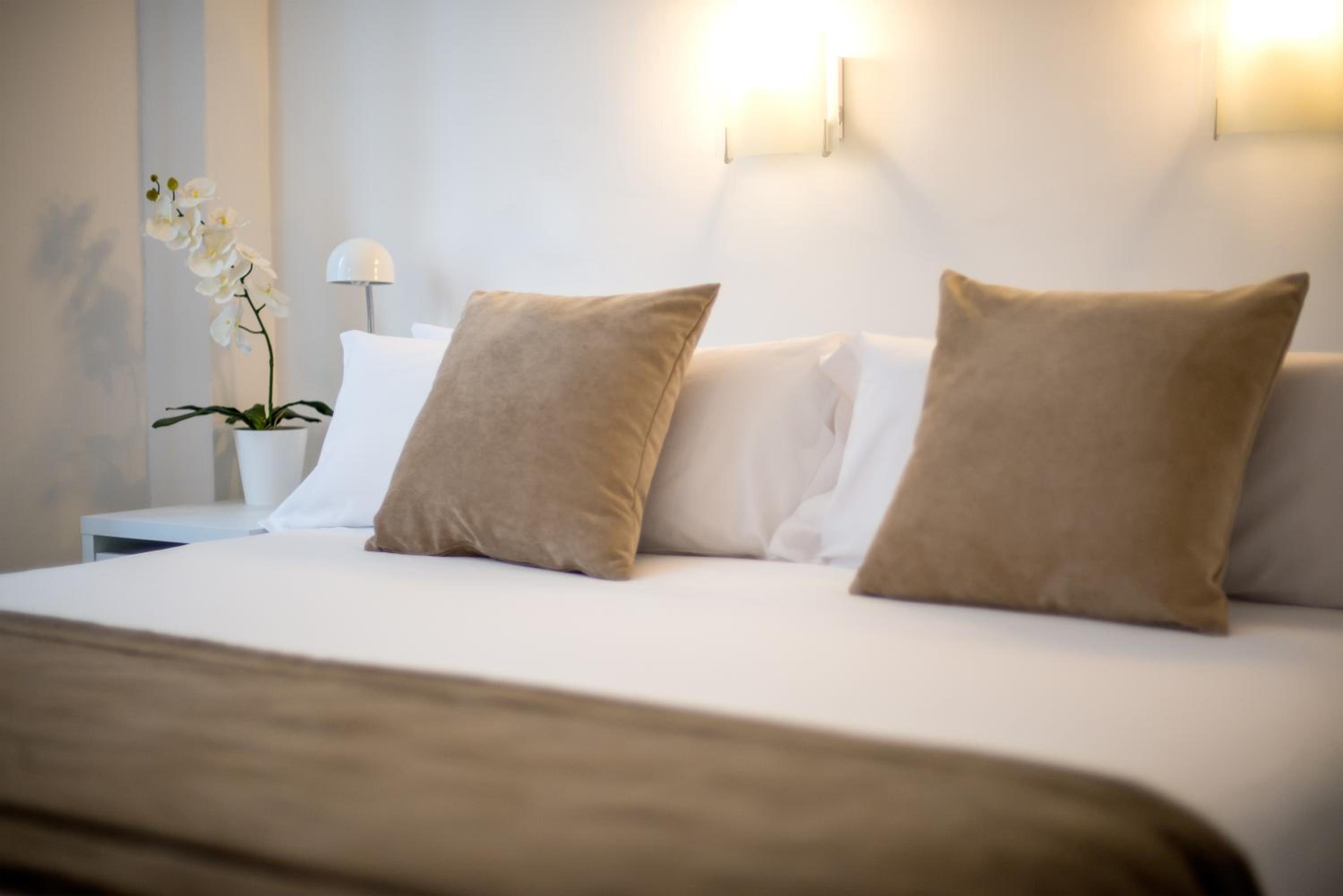 Standard Double or Twin Room photo 3