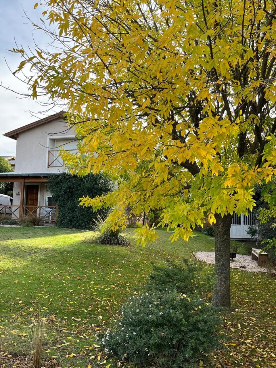 Three-Bedroom House photo 3