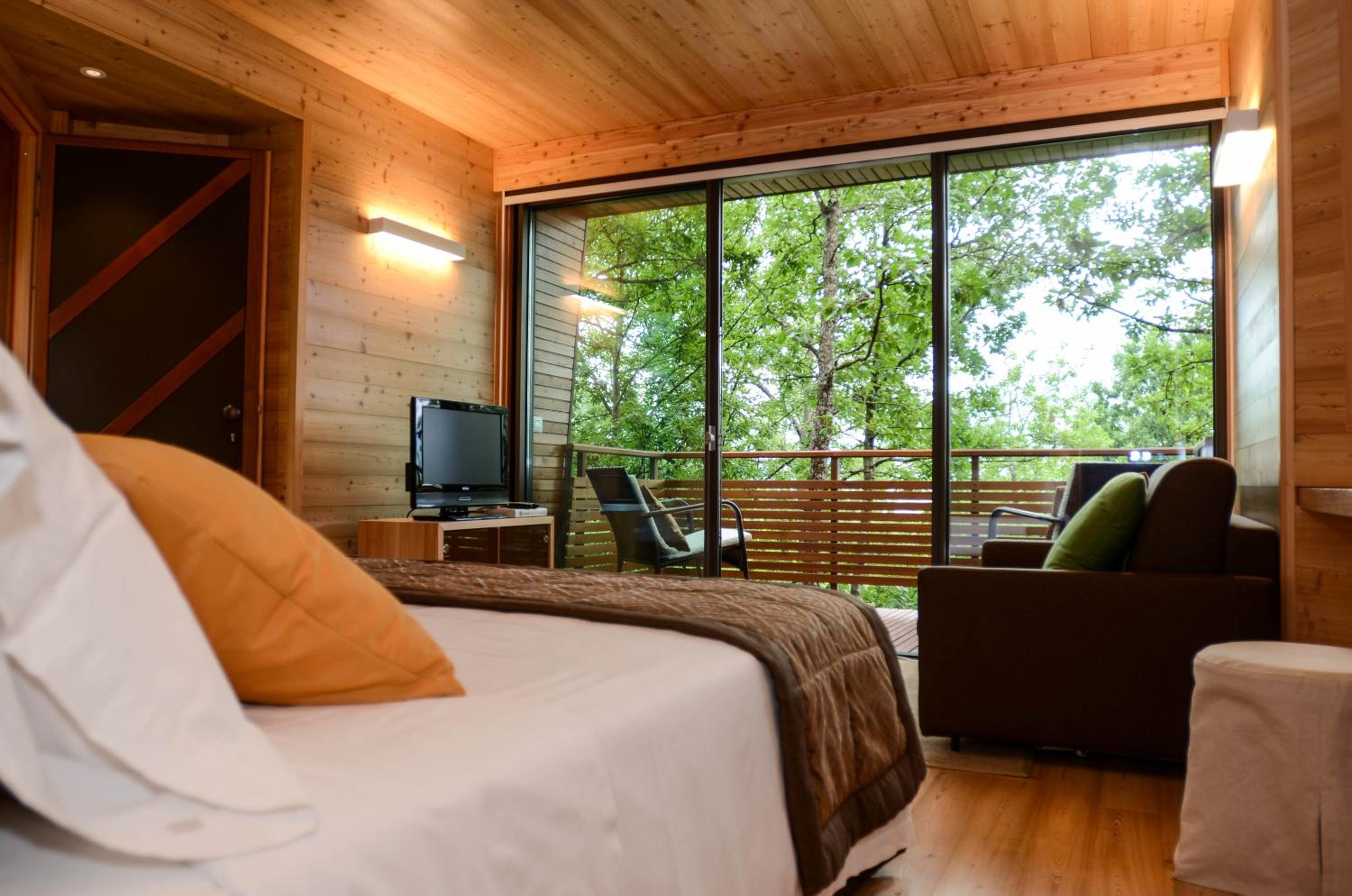Junior Suite - Tree House photo 1