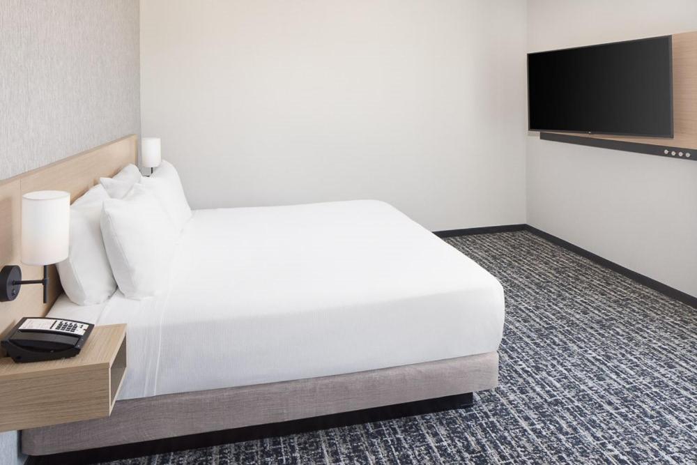 One-Bedroom King Suite with Sofa Bed - Photo 4