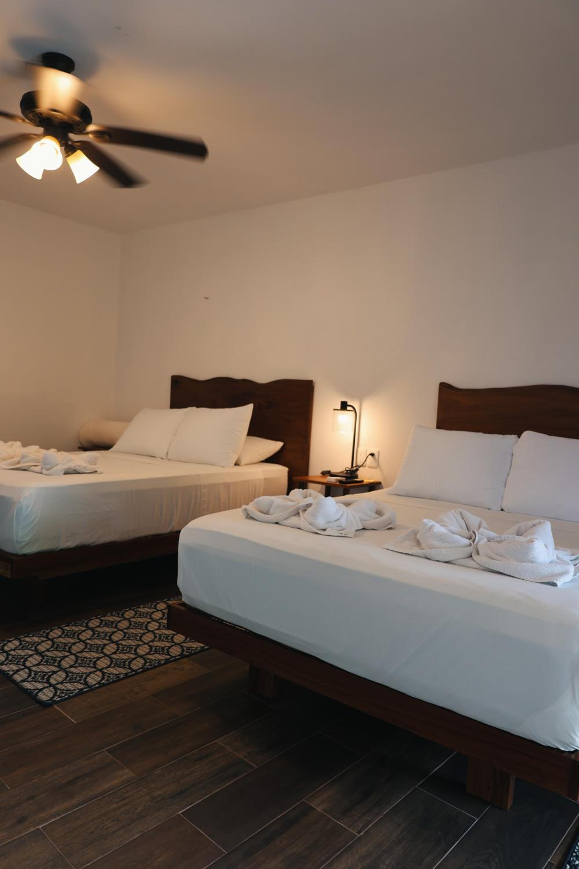 Standard Twin Room with Sea View photo 1