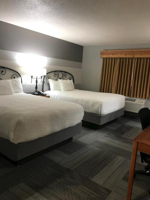 Deluxe Queen Room photo 1