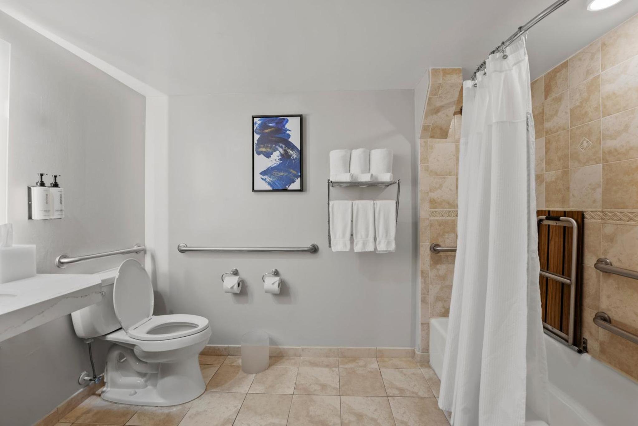 Standard King Room with Mobility Accessible Tub thumbnail 5