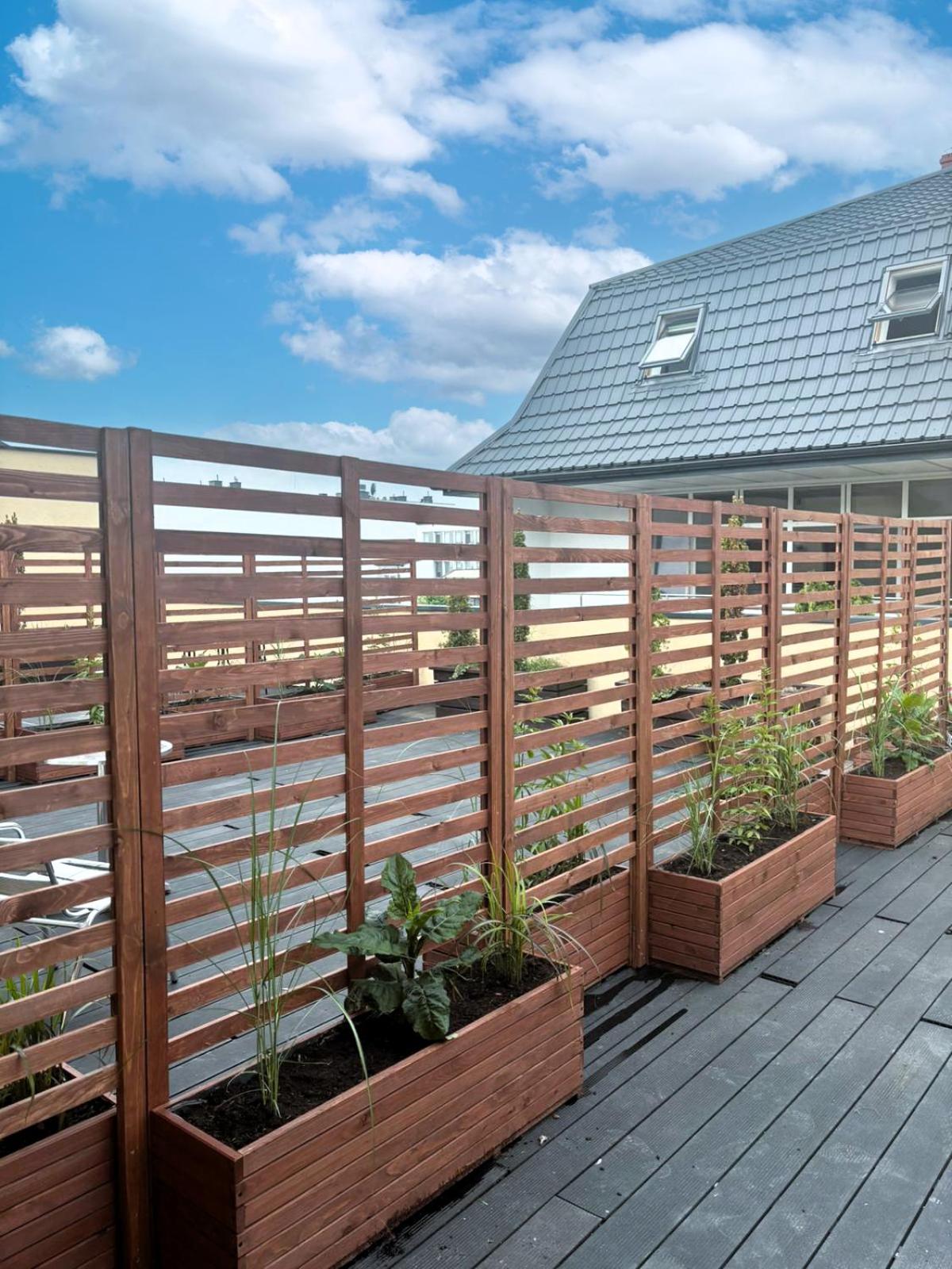 Studio with Terrace - Photo 3