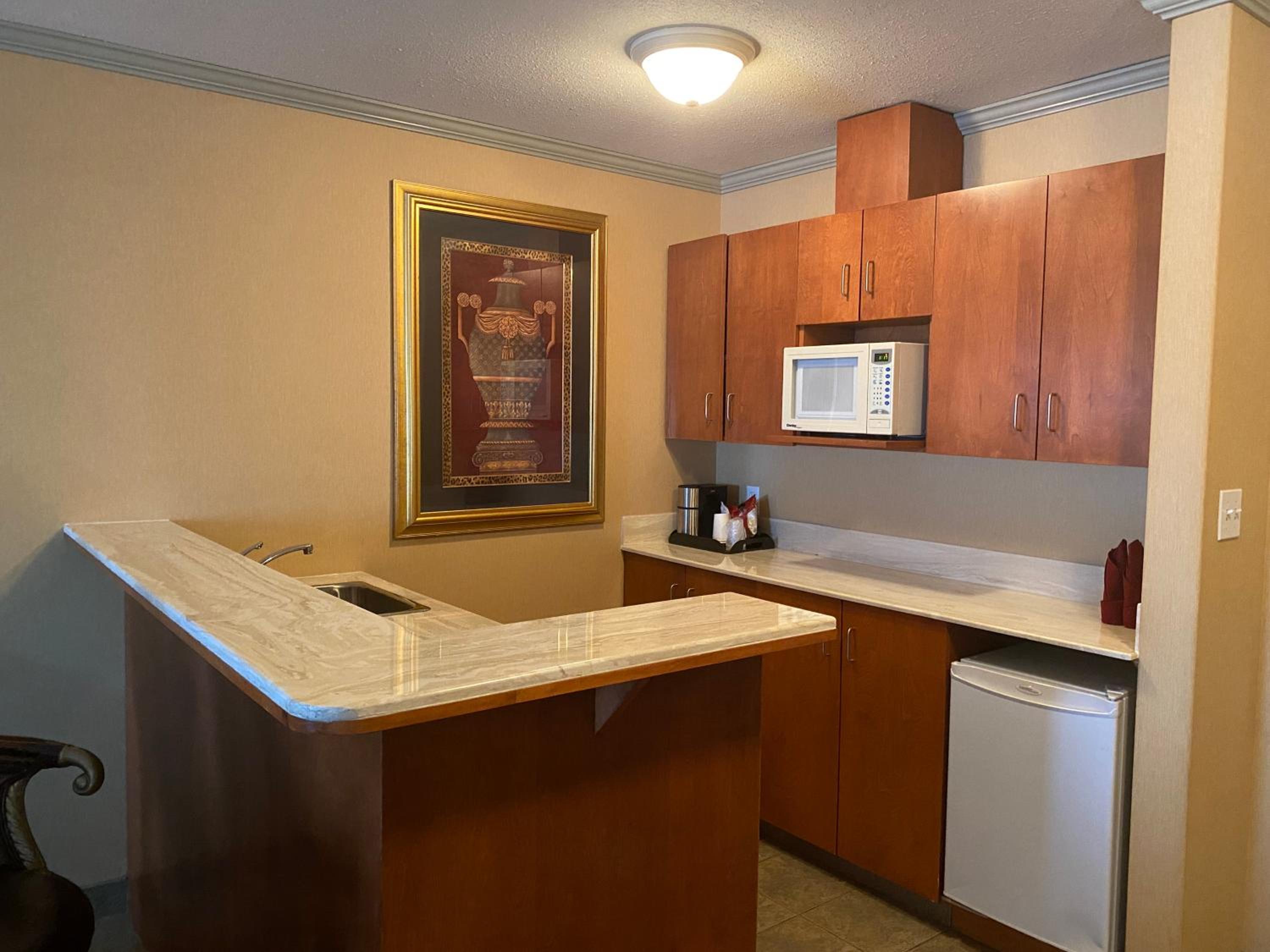King Suite photo 2