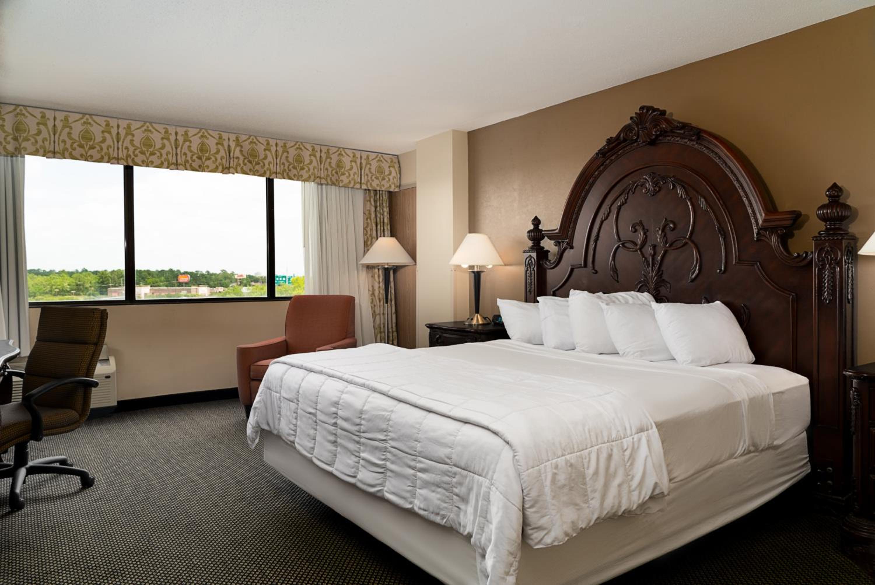 King Suite - Photo 3