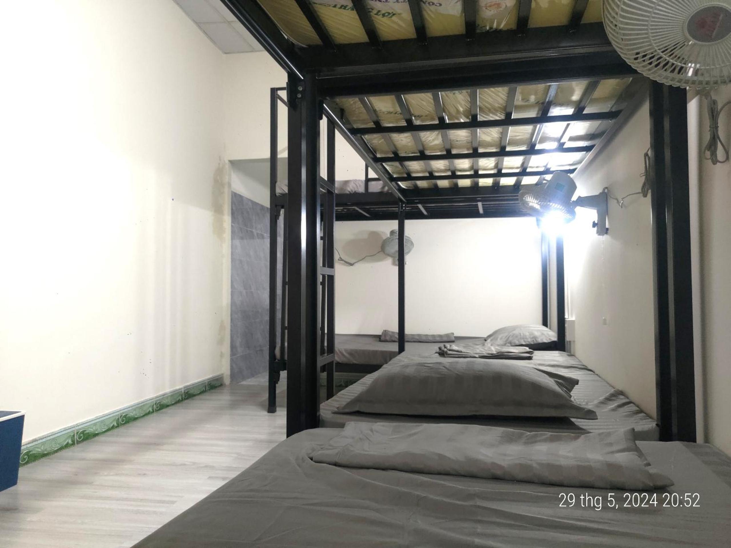 Bunk Bed in Mixed Dormitory Room photo 3