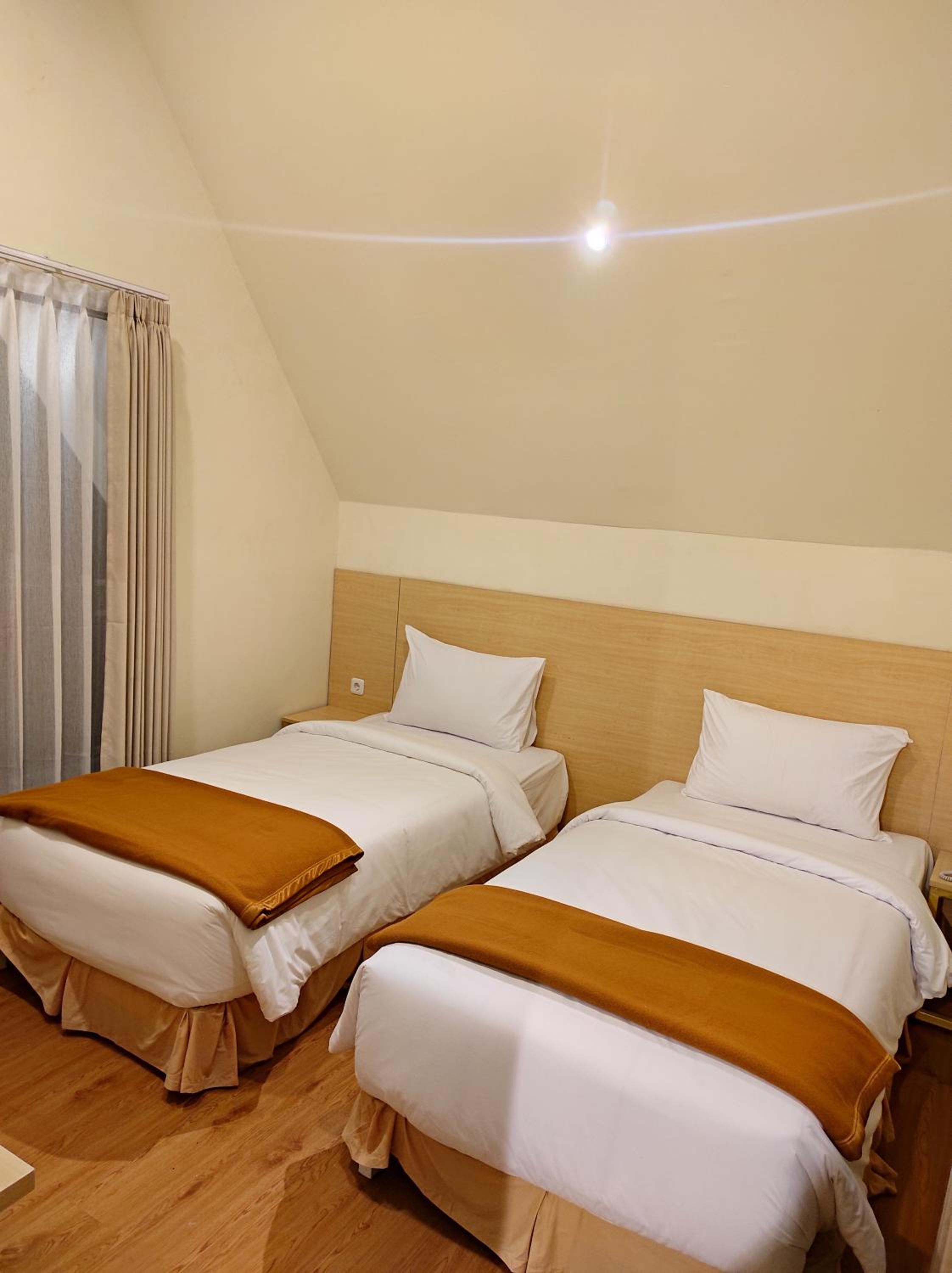 Deluxe Twin Room photo 1