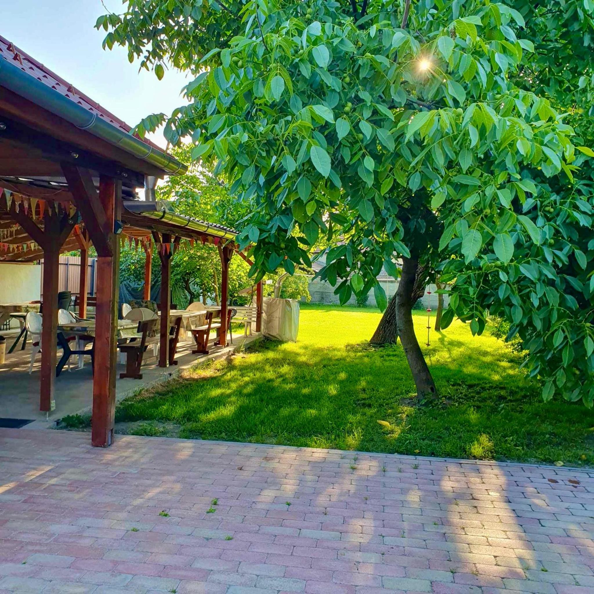 Apartment with Terrace - Photo 11