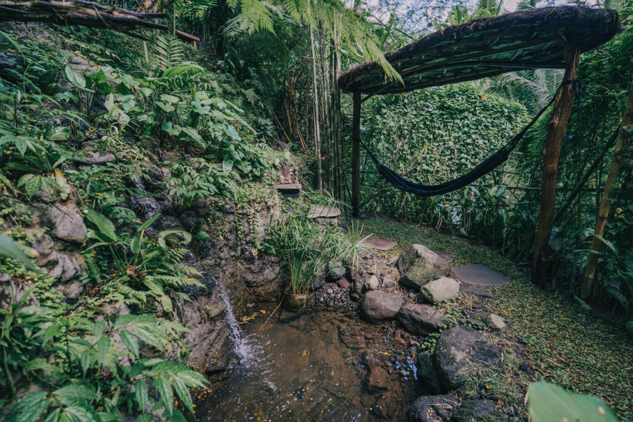 Hideout Eco Bamboo House Bali, photo 251