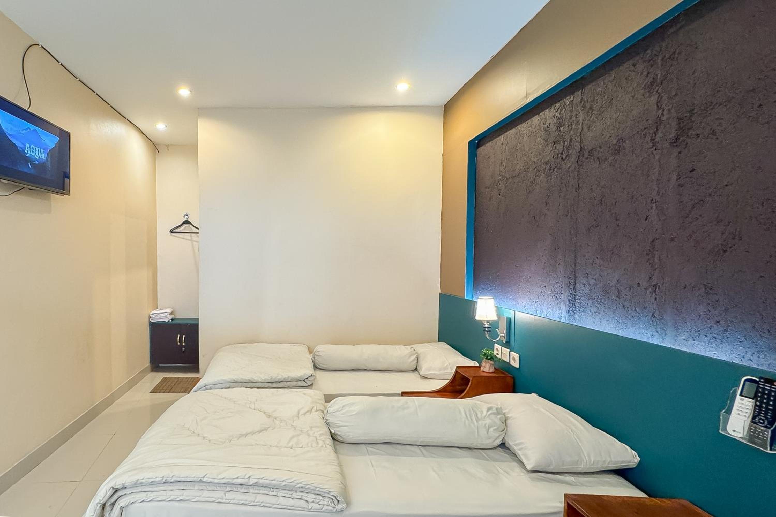 Deluxe Twin Room photo 1