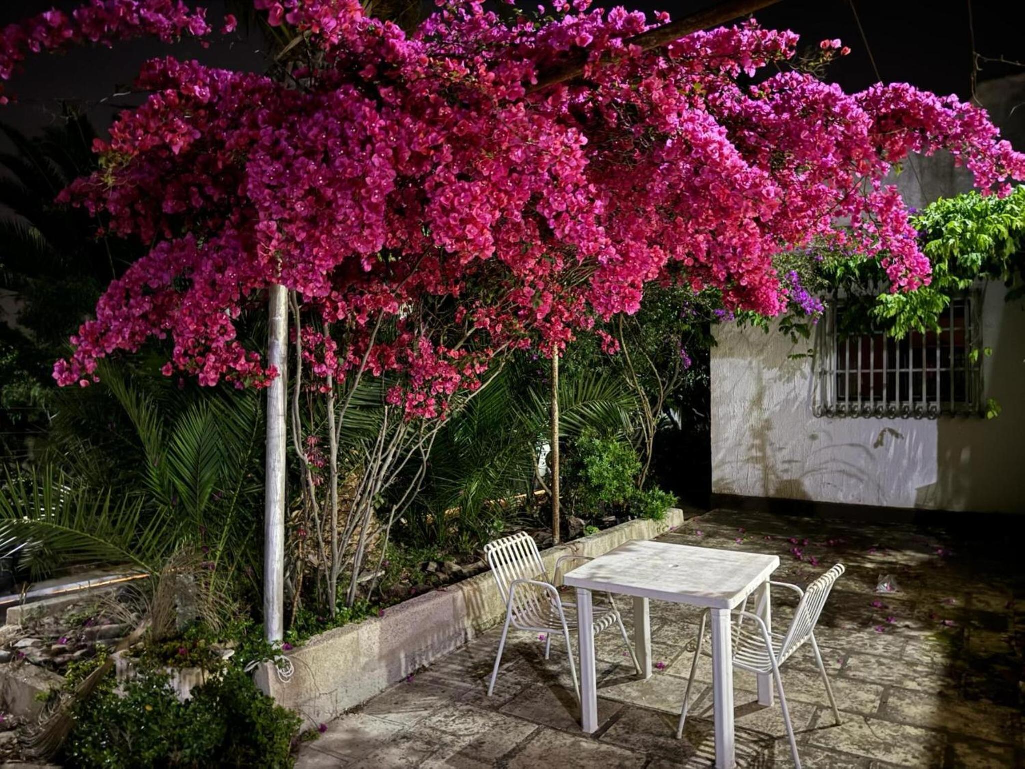 Villa with Sea View photo 3