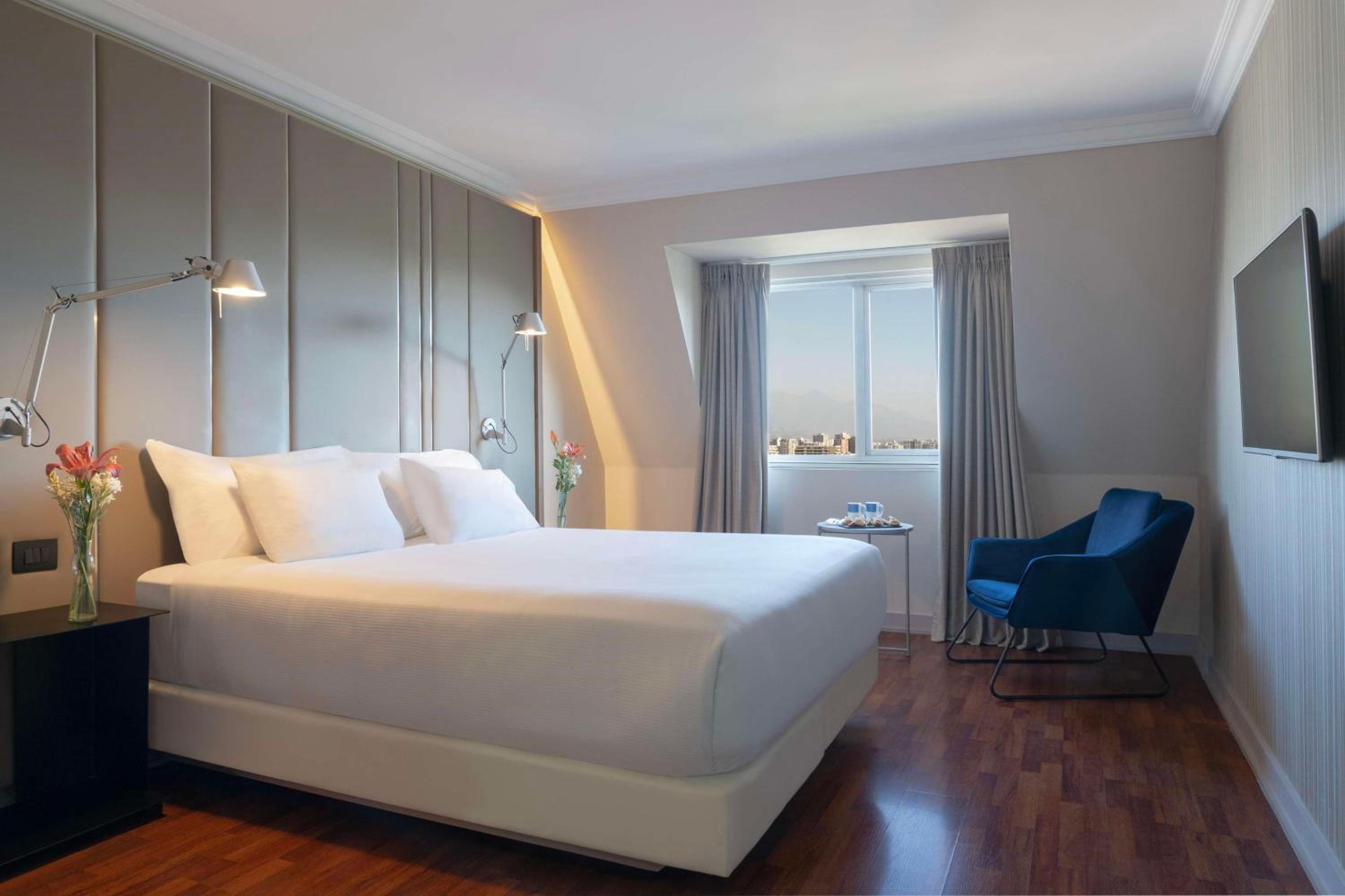 Suite - Photo 3