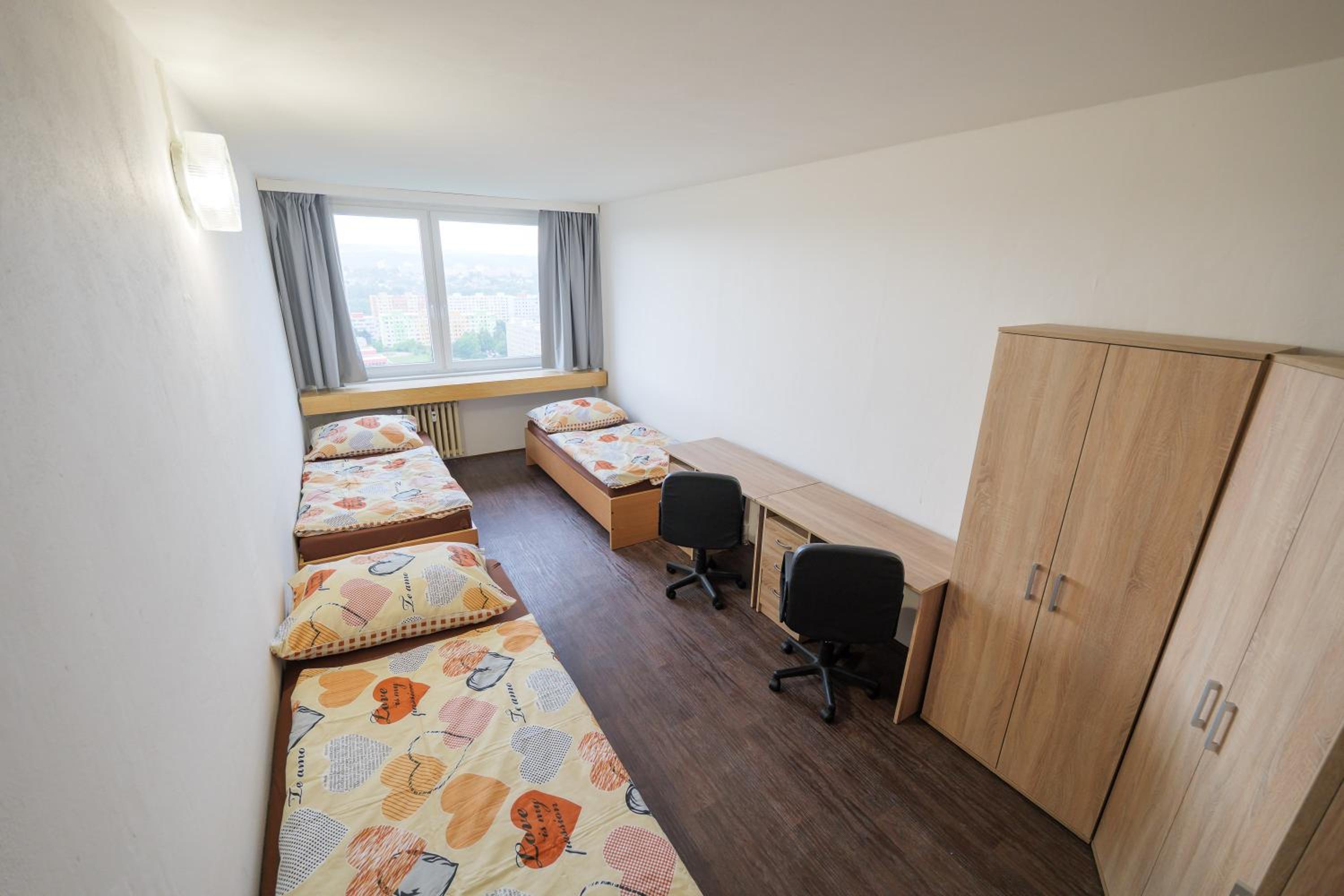 Bed In 6-Bed Mixed Dormitory Room