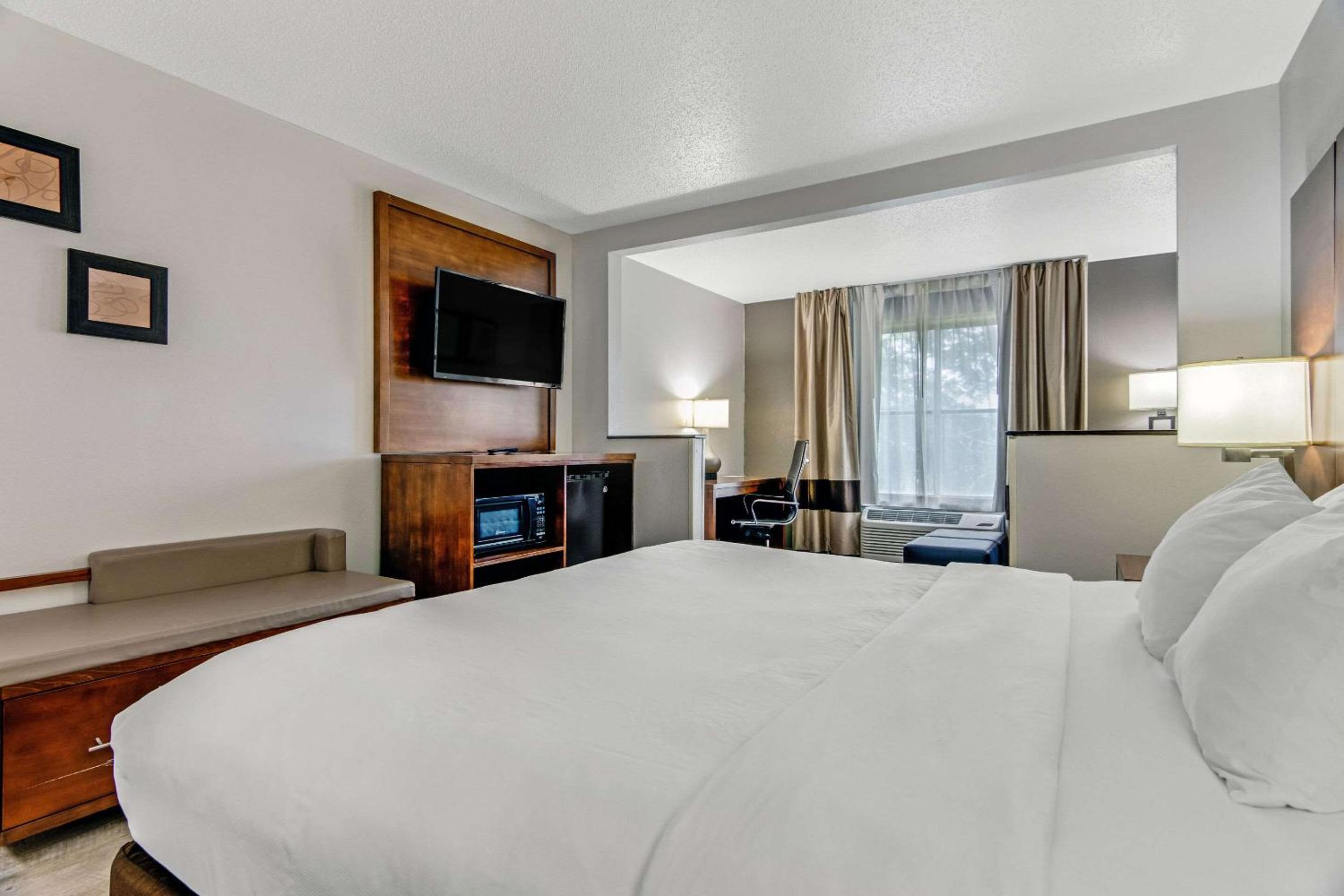 King Suite with Sofa Bed - Non-Smoking - Photo 3