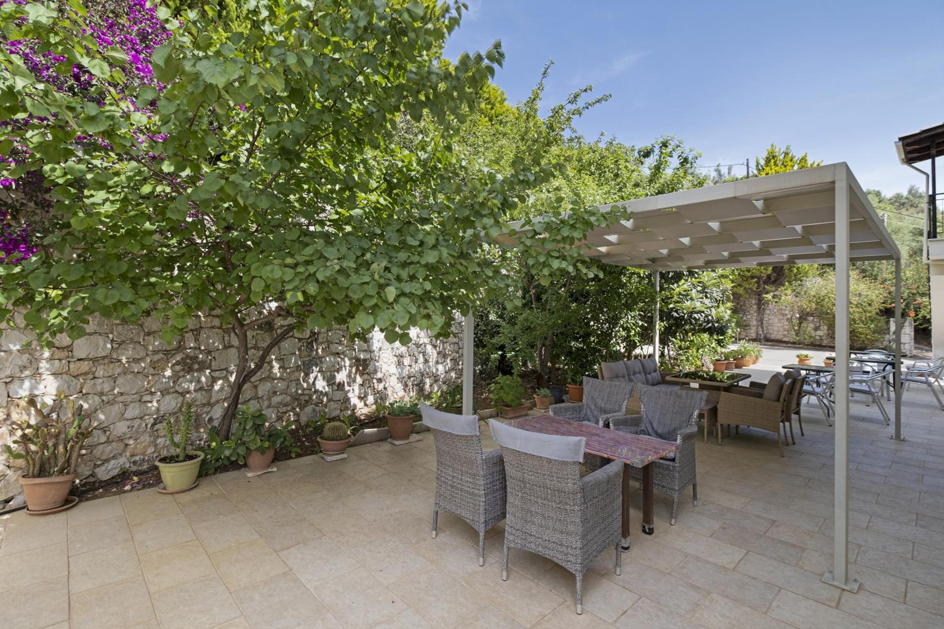 Studio with Terrace photo 2