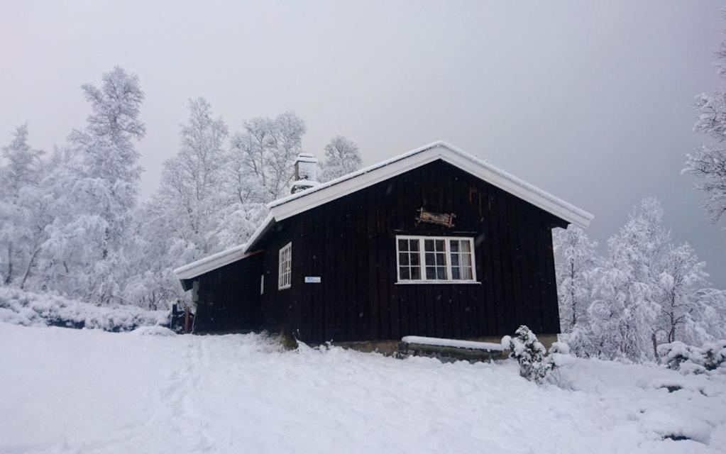 Vacation Home photo 2