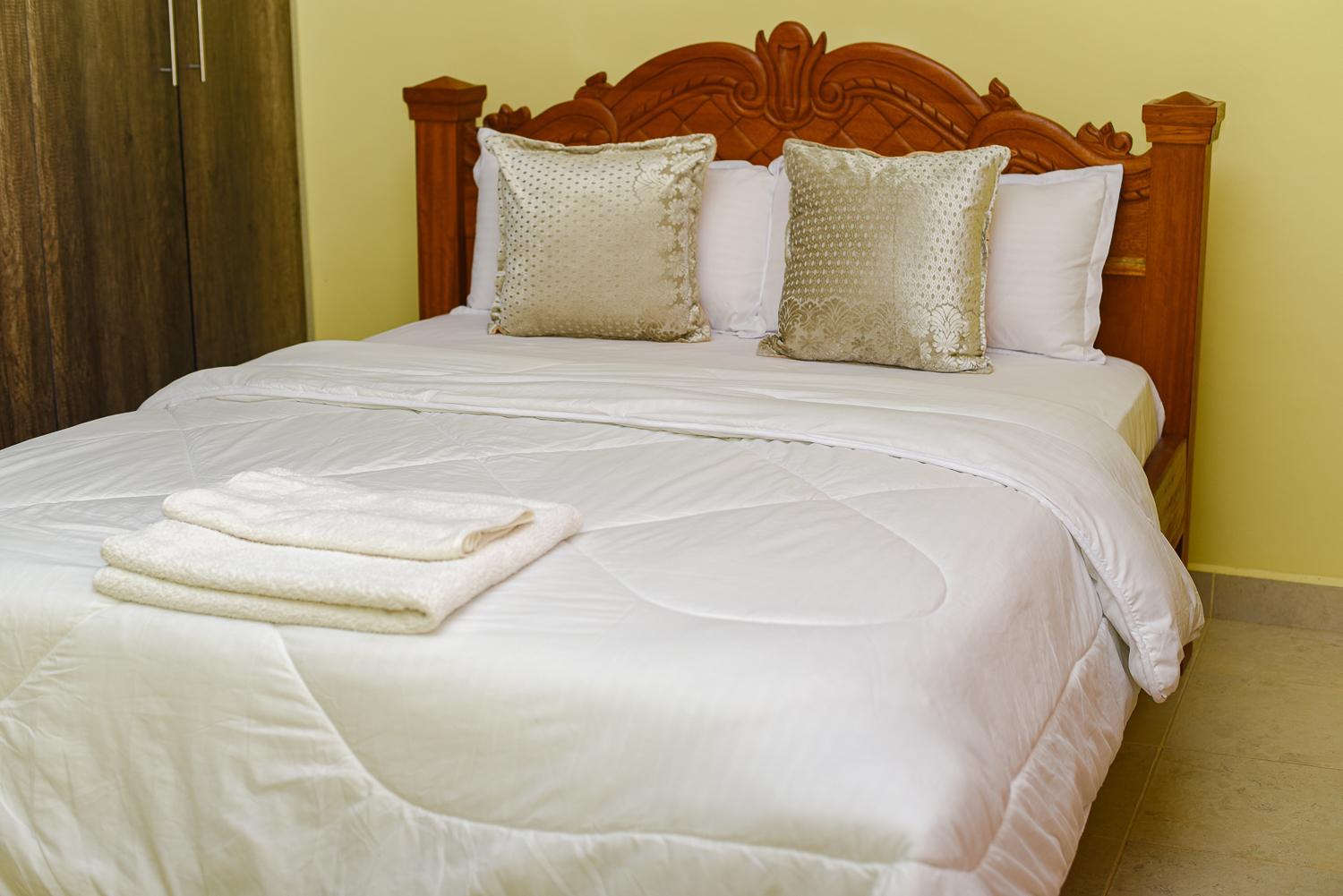 Classic One-Bedroom Apartment with King Bed photo 2