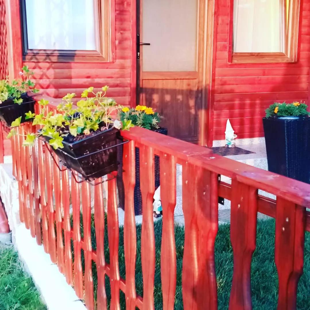 Double Room with Garden View photo 1