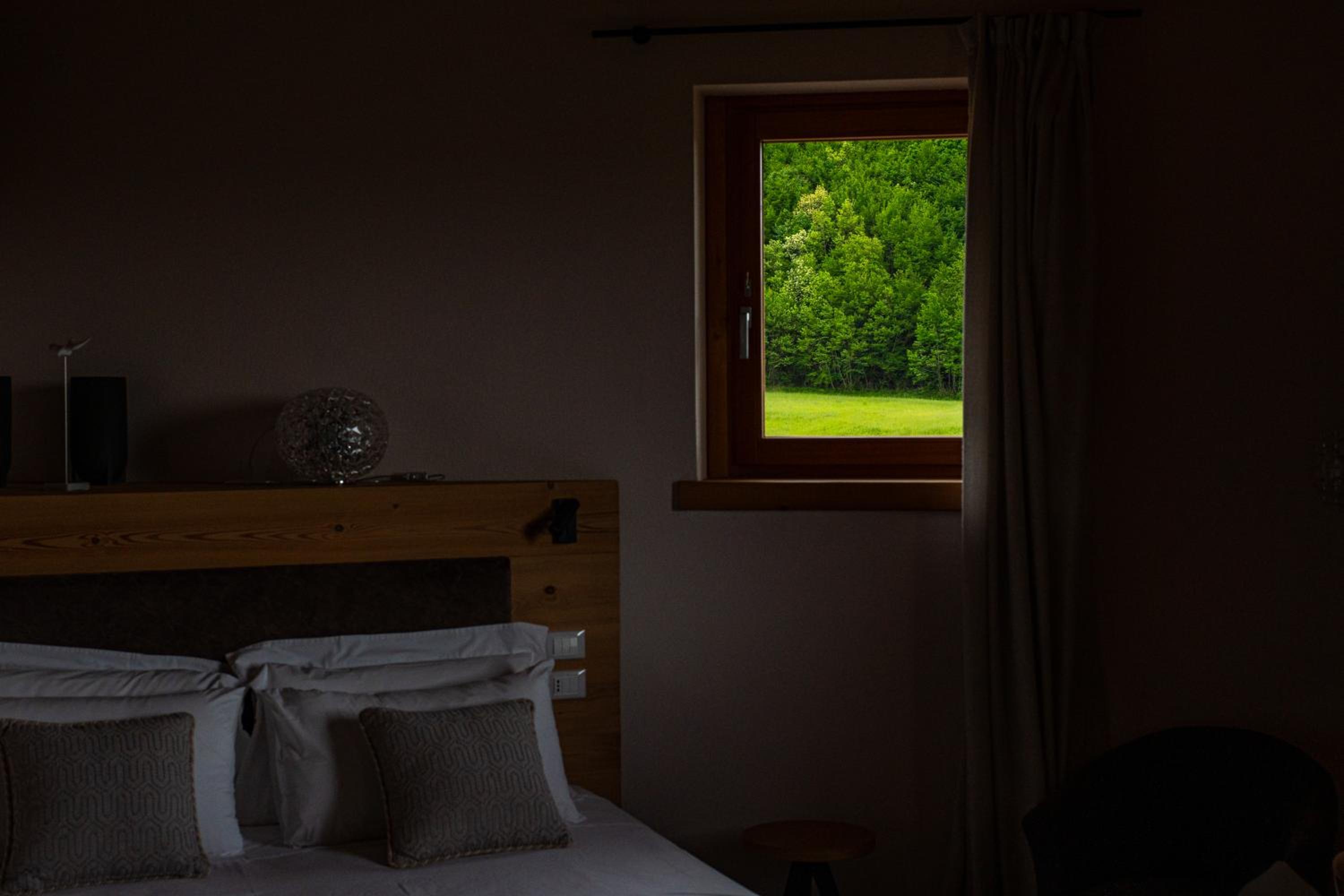 Suite - Photo 3