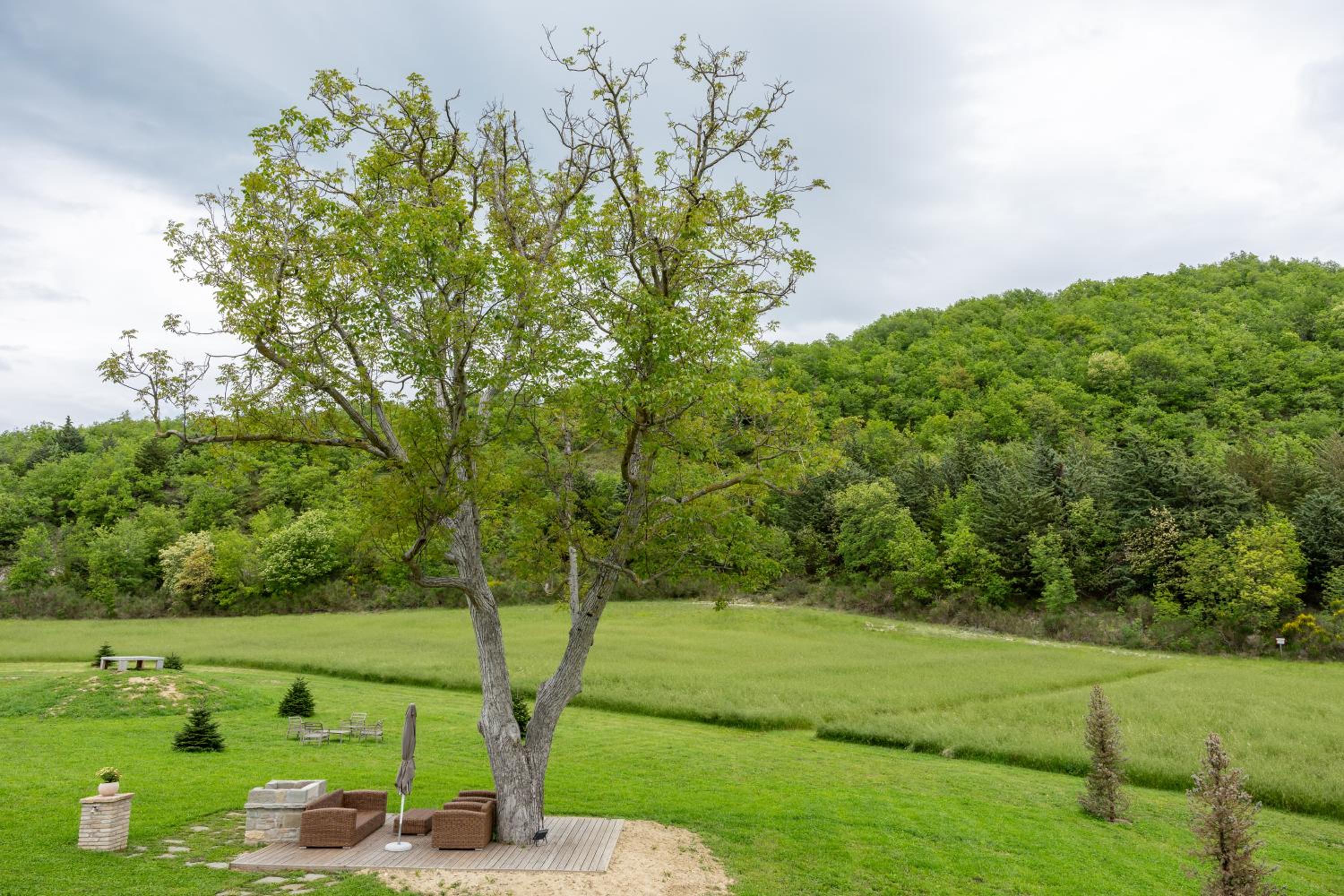 Double Room with Garden View - Photo 5