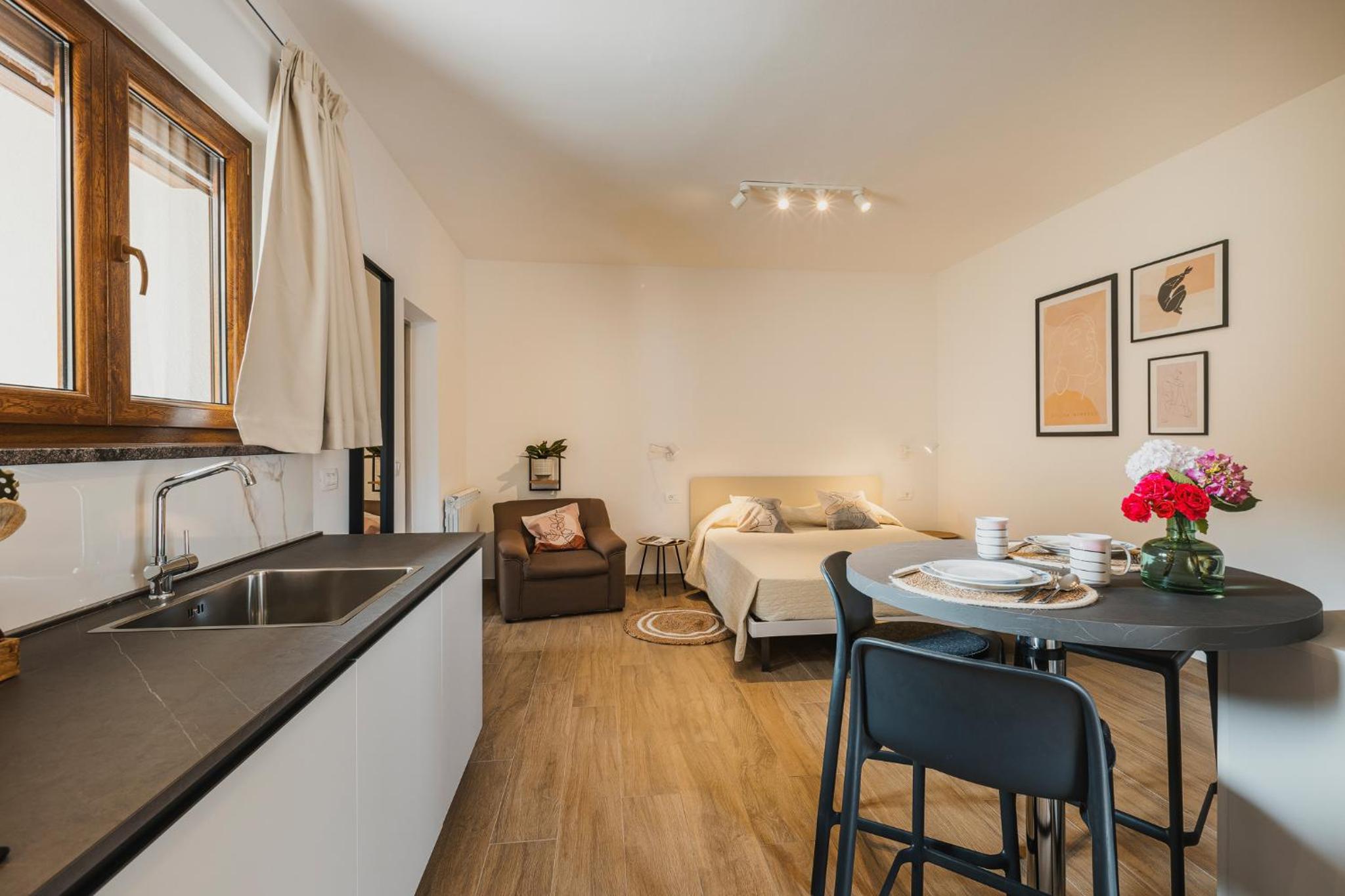Studio Apartment